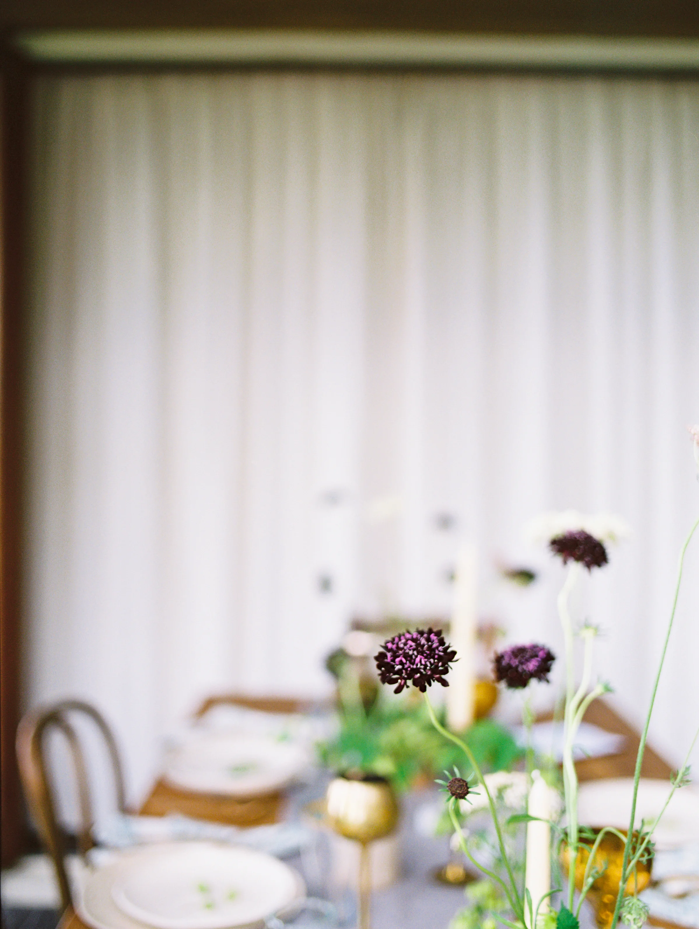 JenWojcikPhotography_JohnsonHighlights-322.jpg