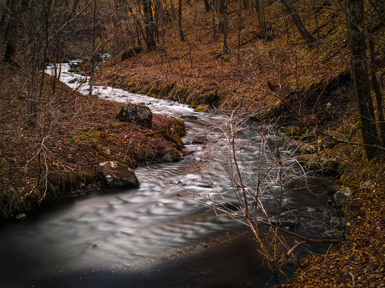 Yu River Bend Before Spring