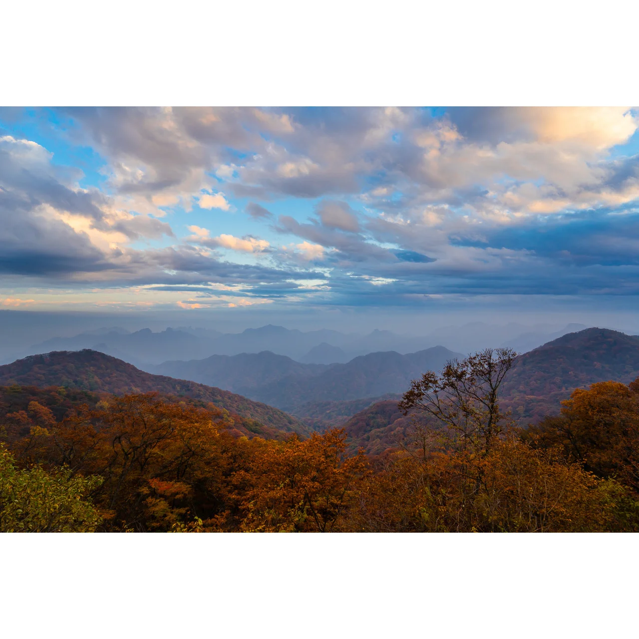 Fall Vista