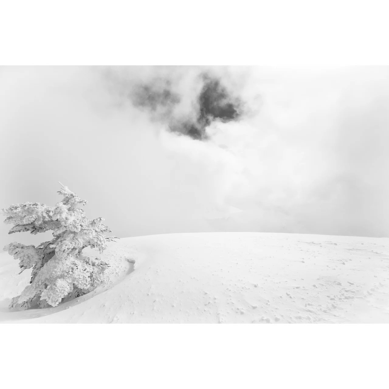 Winter Summit