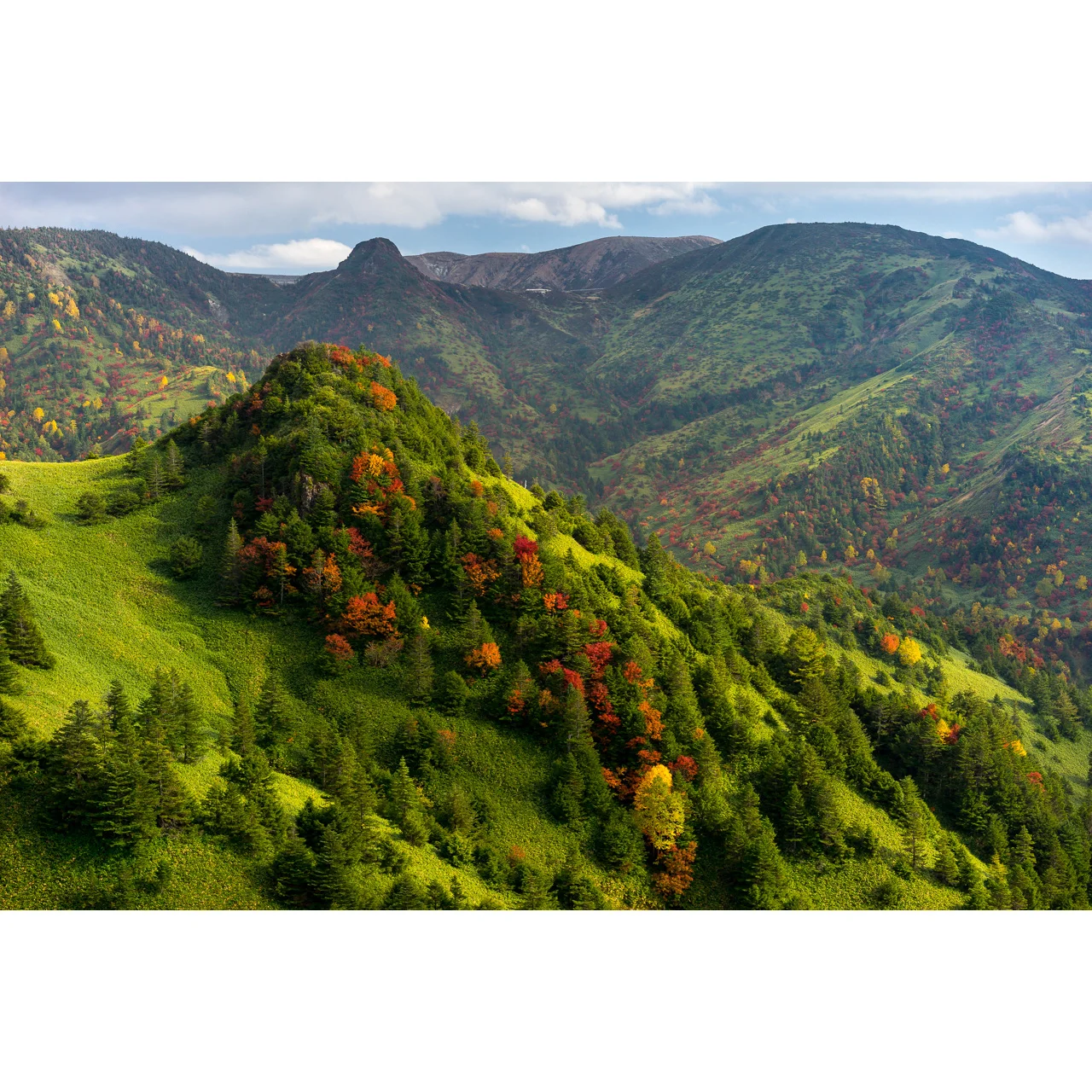 Autumn Hillside