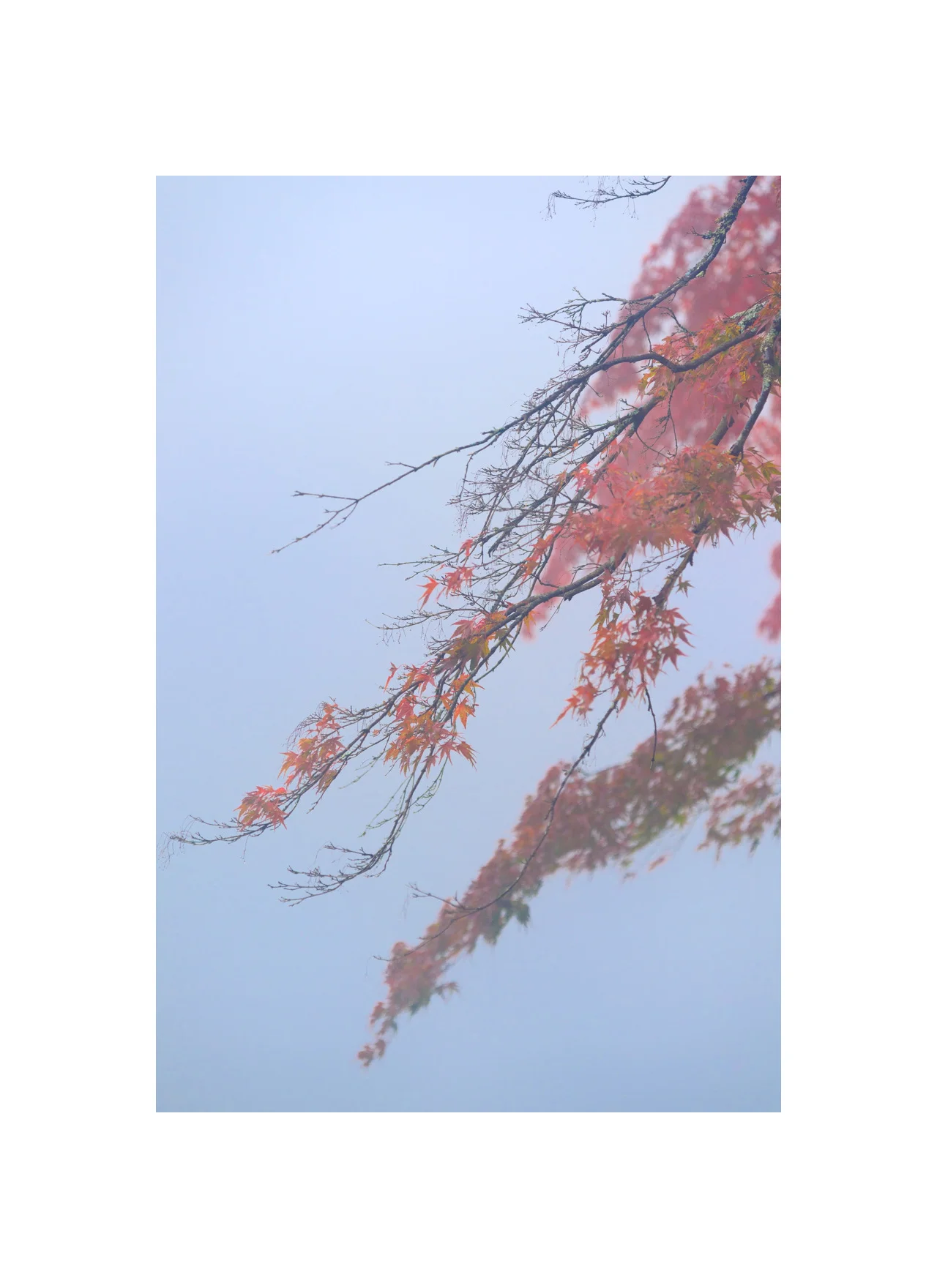 Autumn Cascade