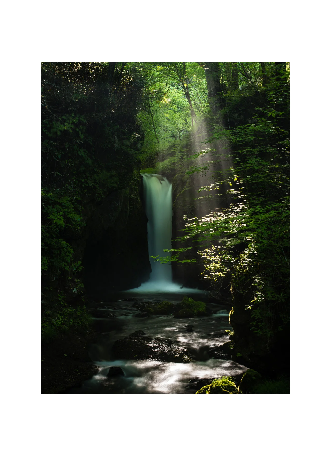 Sunbeam