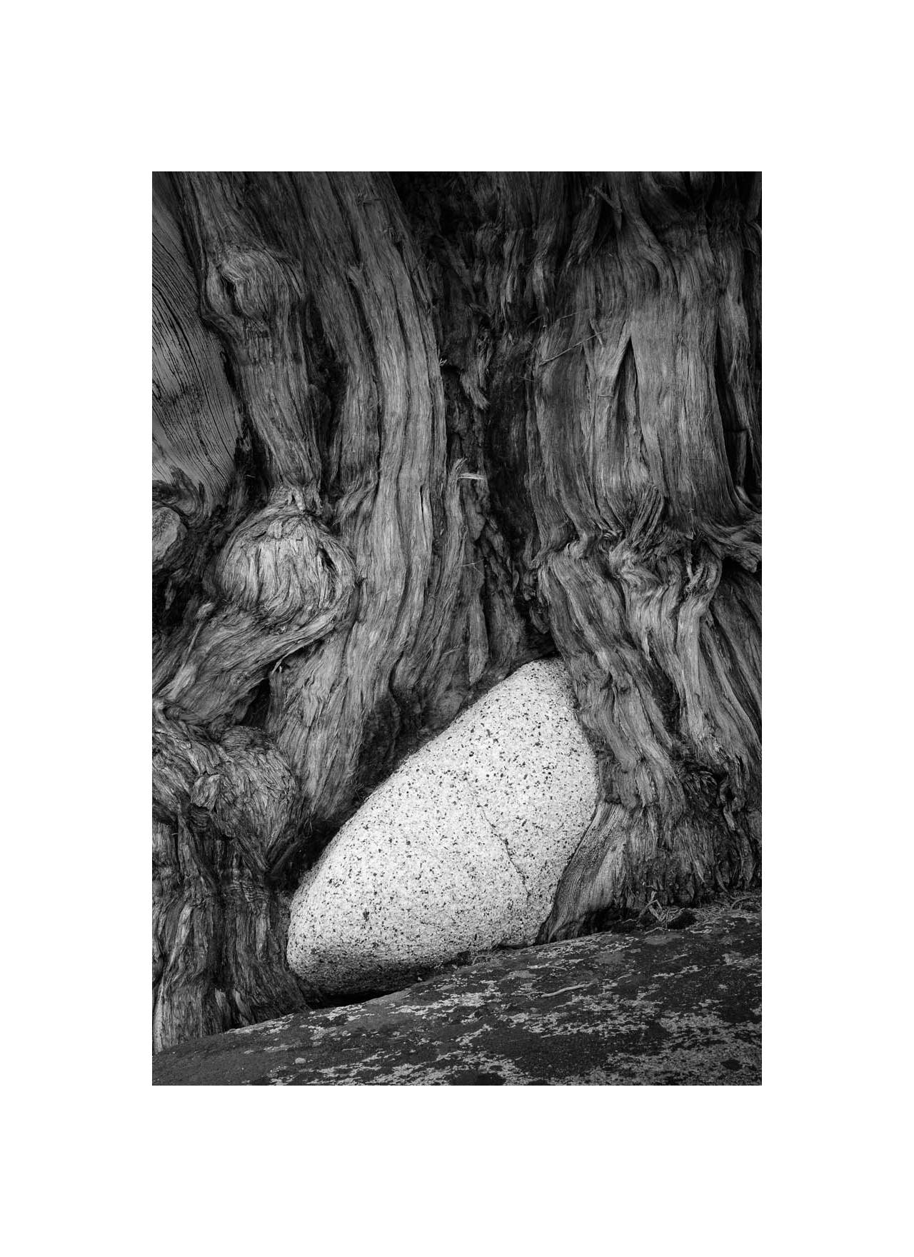 Embedded, Yosemite 2015