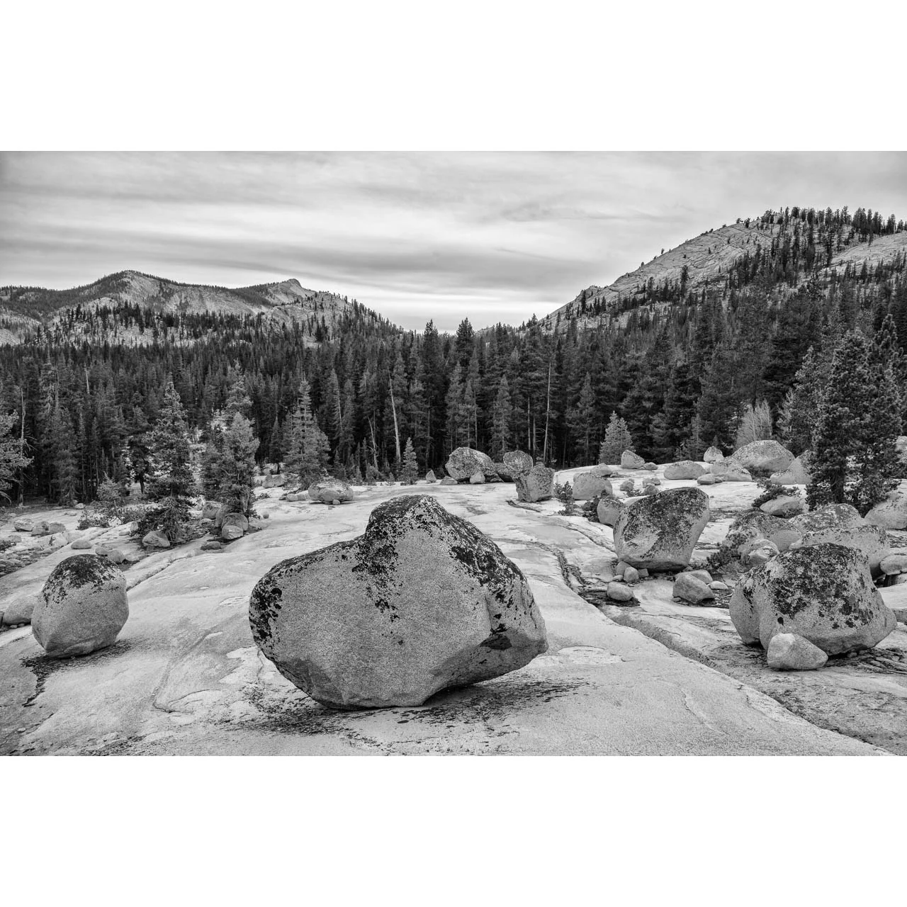 Glacial Erratics, Yosemite 2015