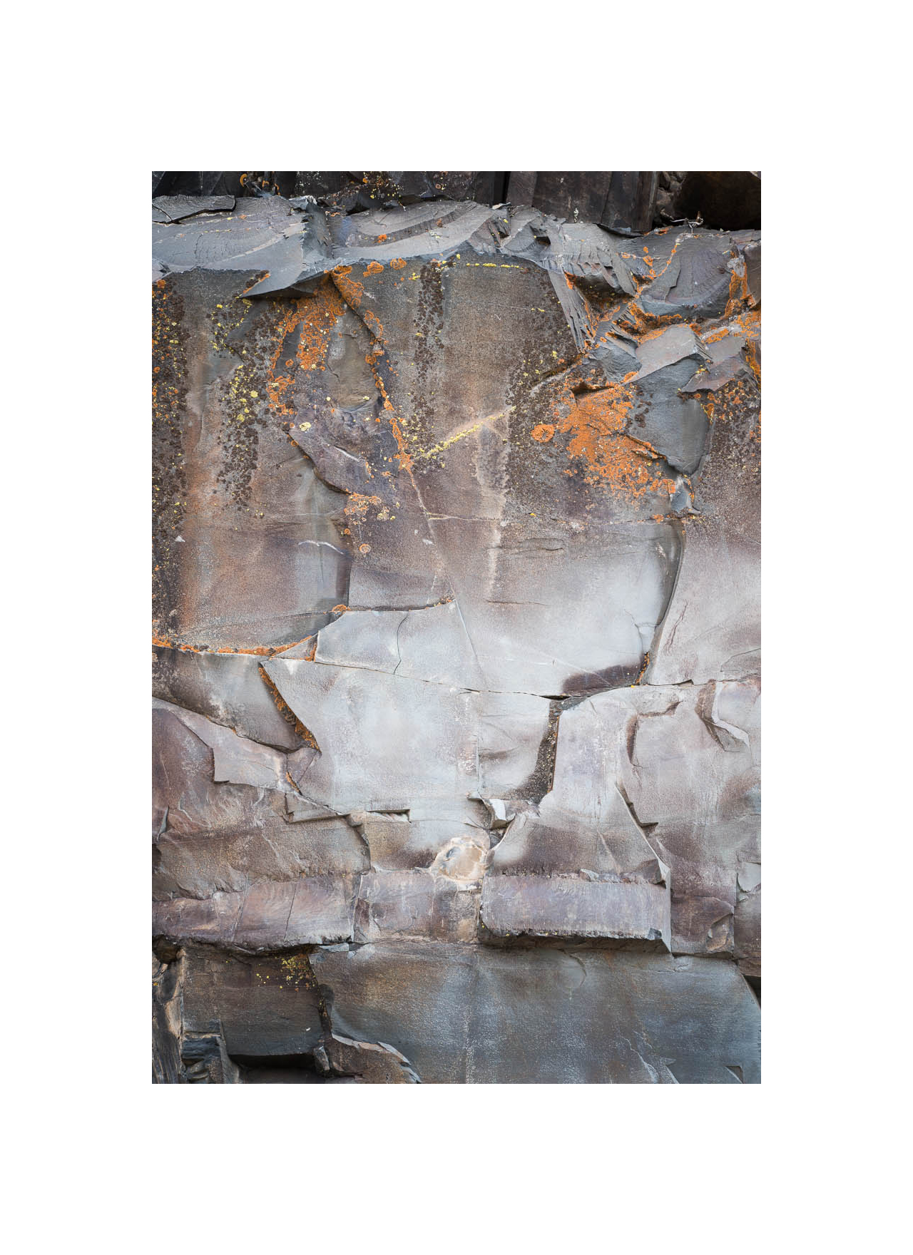 Armor, Inyo National Forest 2015