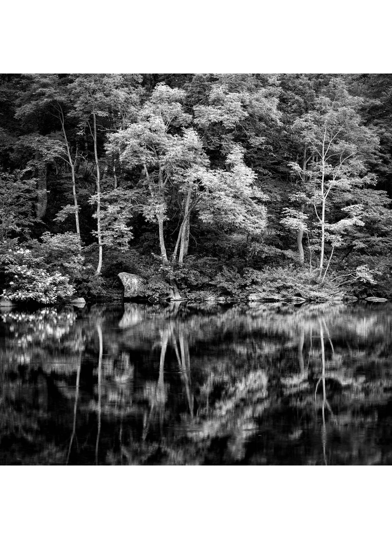 Stillness, Kiyomizu Lake 2015