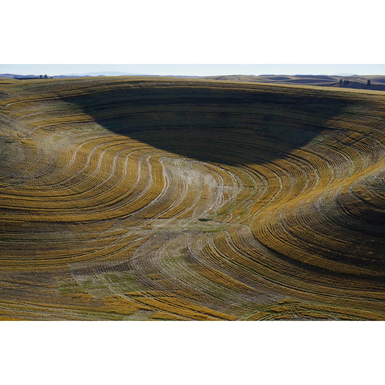 Furrows, Washington 2015