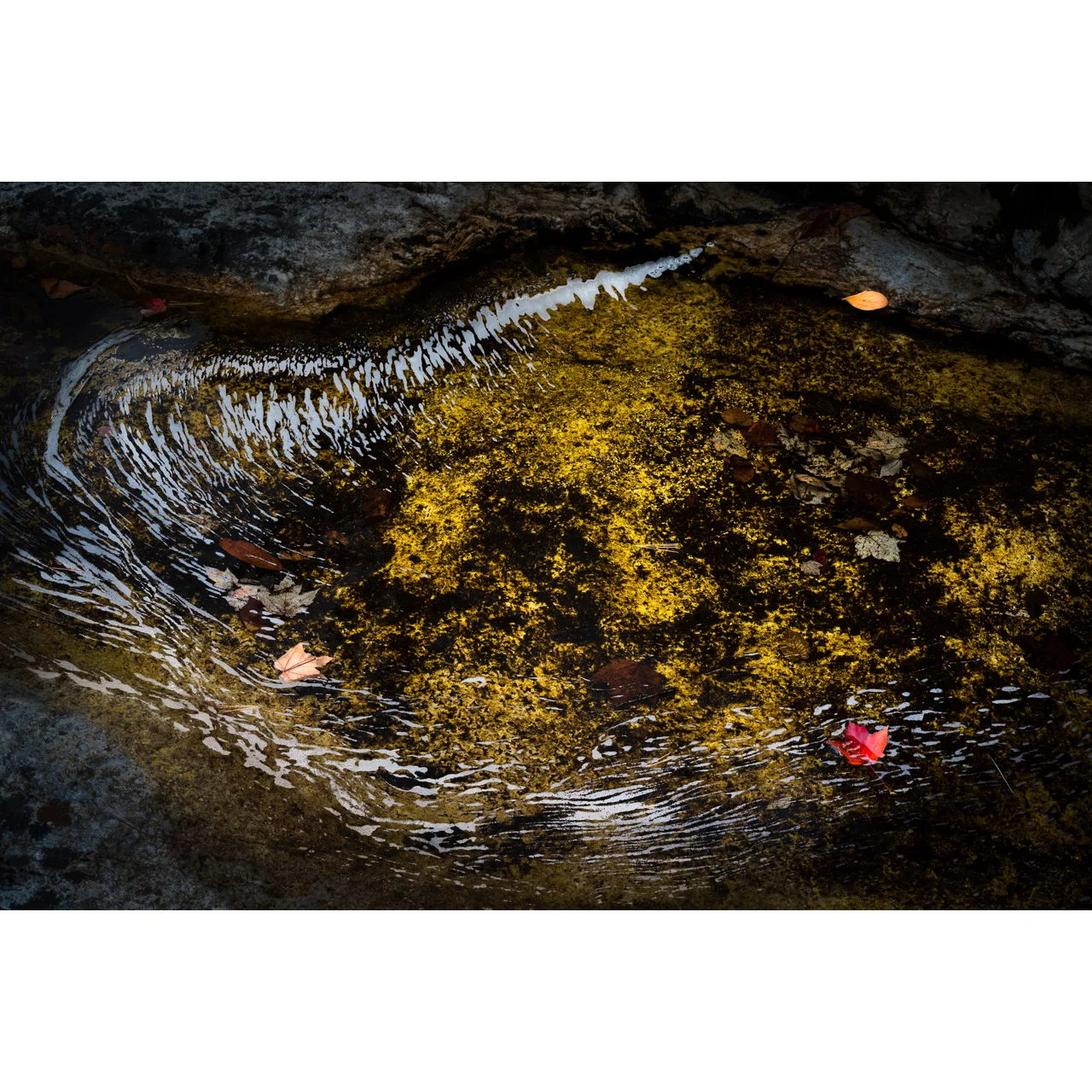Autumn Pool