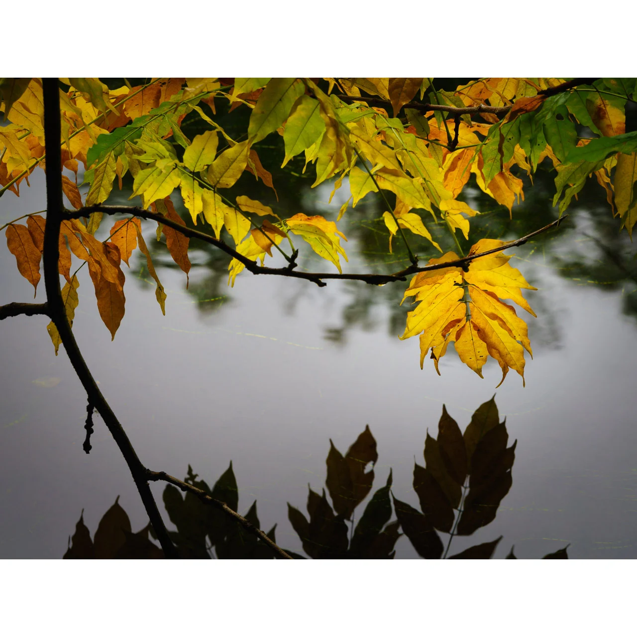 Aging Reflection