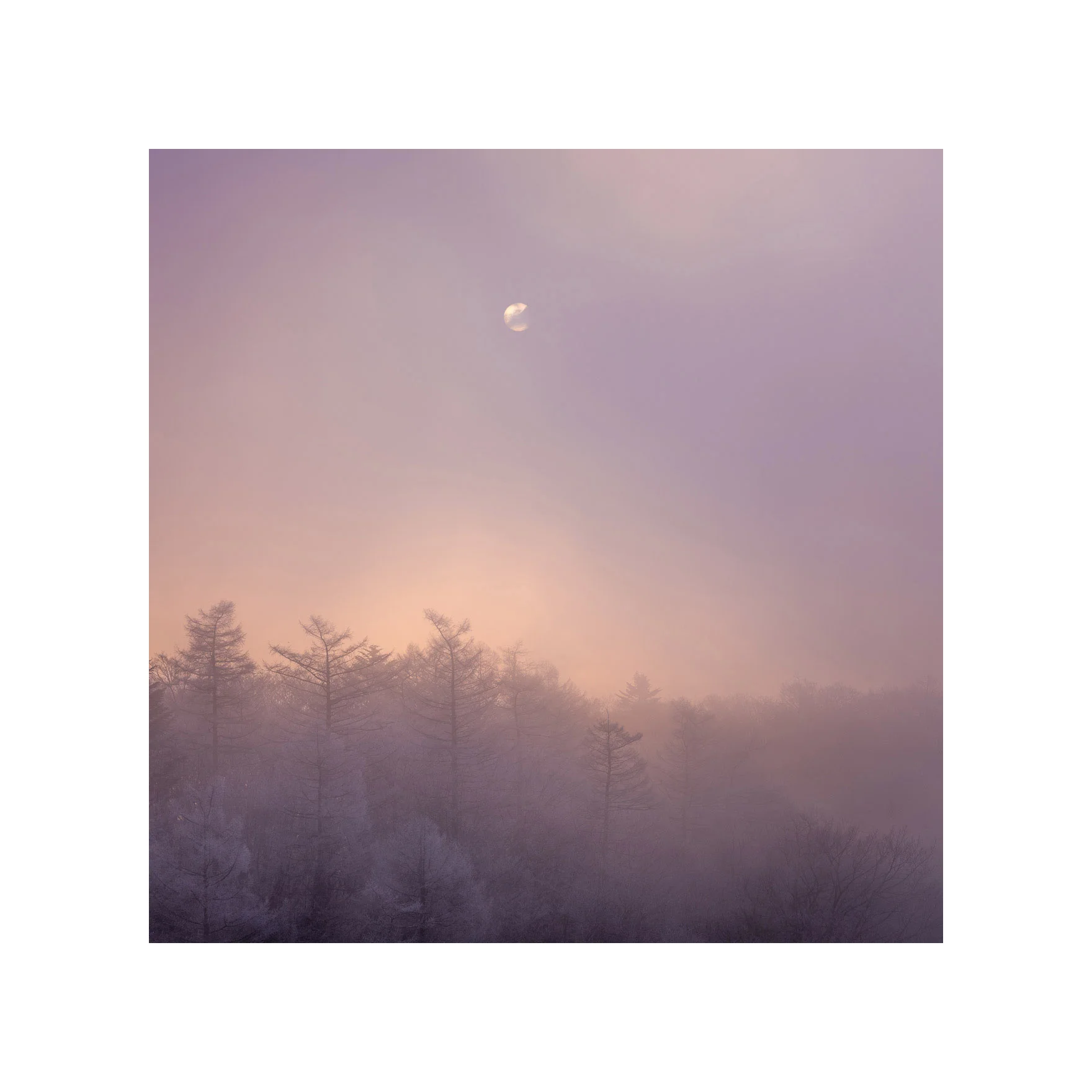 Uncertain Sunrise