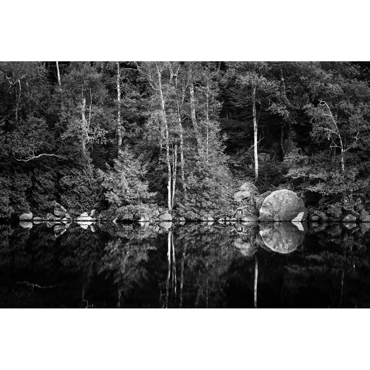 Reflections