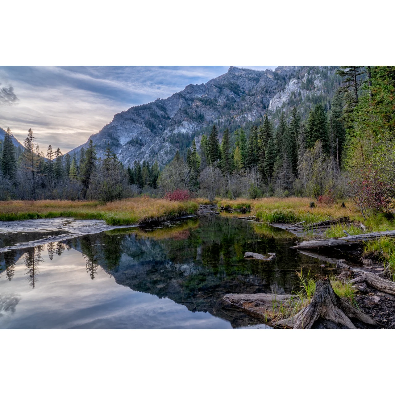 Bass Creek Fall