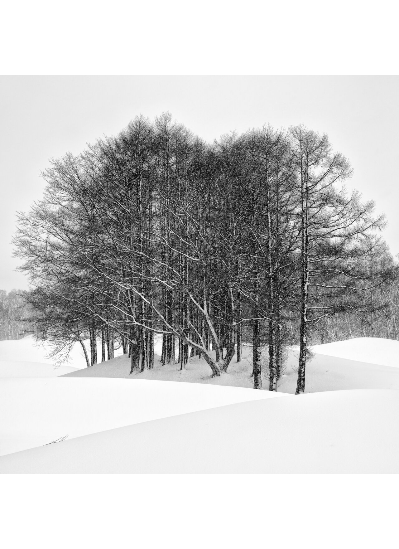 Curves  Hokkaido 2020.jpg