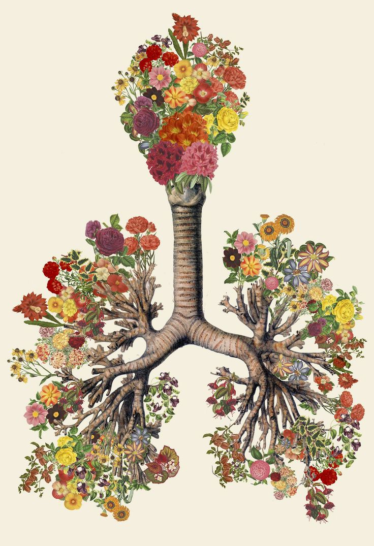 Anatomical Collages by Travis Bedel