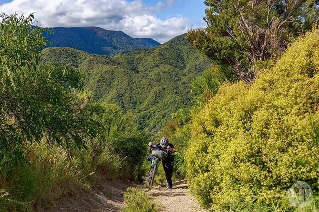 &ldquo;You do this for fun!&rdquo; &mdash; my brother Andrew, on his first bikepacking trip, had a rough introduction to the concept of &lsquo;hike-a-bike&rsquo;. 🚲
Our first day on @bikepackingcom&lsquo;s No. 8 Wired Route saw us head through the r