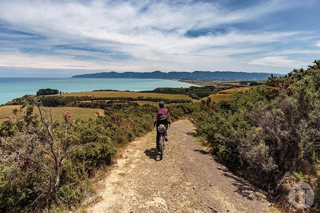 It was a decent slog to get down off the ridge and out of the Aorangi Forest Park, when we finally did we were greeted with spectacular views of Palliser Bay and a leisurely ride along the coast.
🇳🇿
December 2019
.
.
.
.
#no8wired
#nzcycletrail
#pu