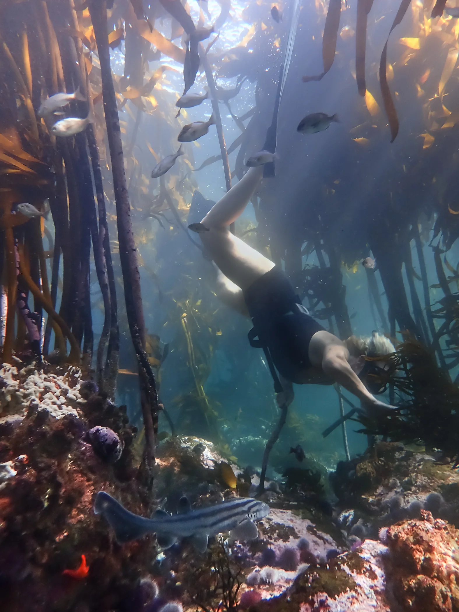 Helen Walne underwater - Photo credit Keri Muller.jpg
