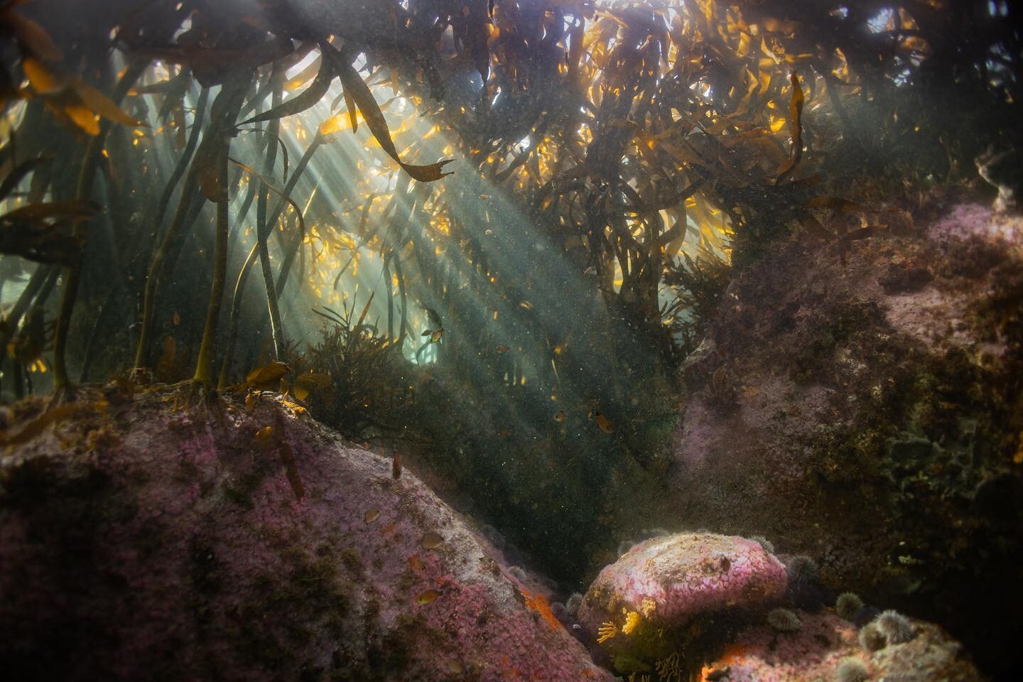 Strawberry Fields
The Beatles 
.

Nothing is real
And nothing to get hung about
Strawberry fields forever
Living is easy with eyes closed
.
.
The Beatles had it spot on. I&rsquo;ve been accused of just saying &lsquo;fuk it&rsquo; with many things but