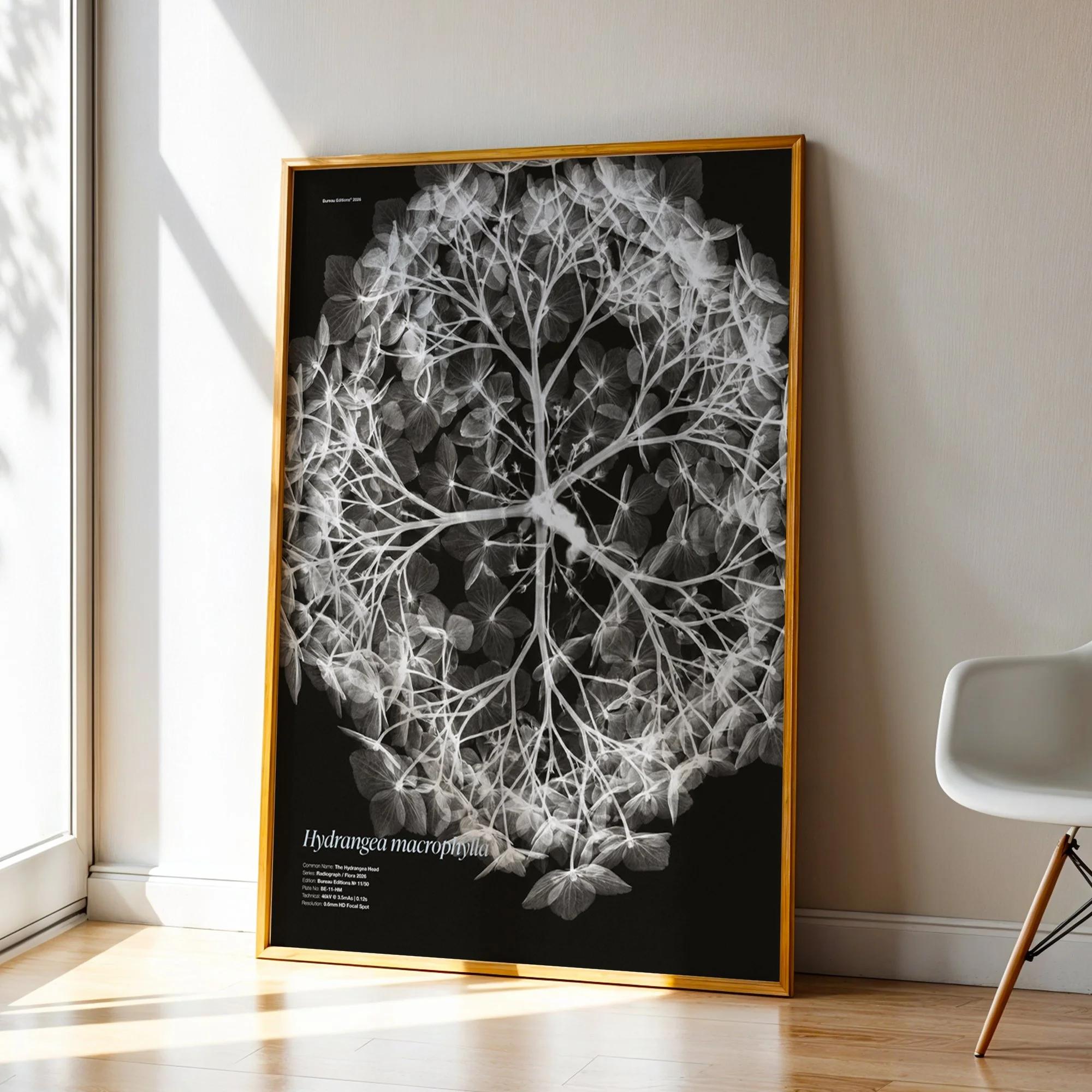 BioDigital_The Hydrangea Head_Frame 43.jpg