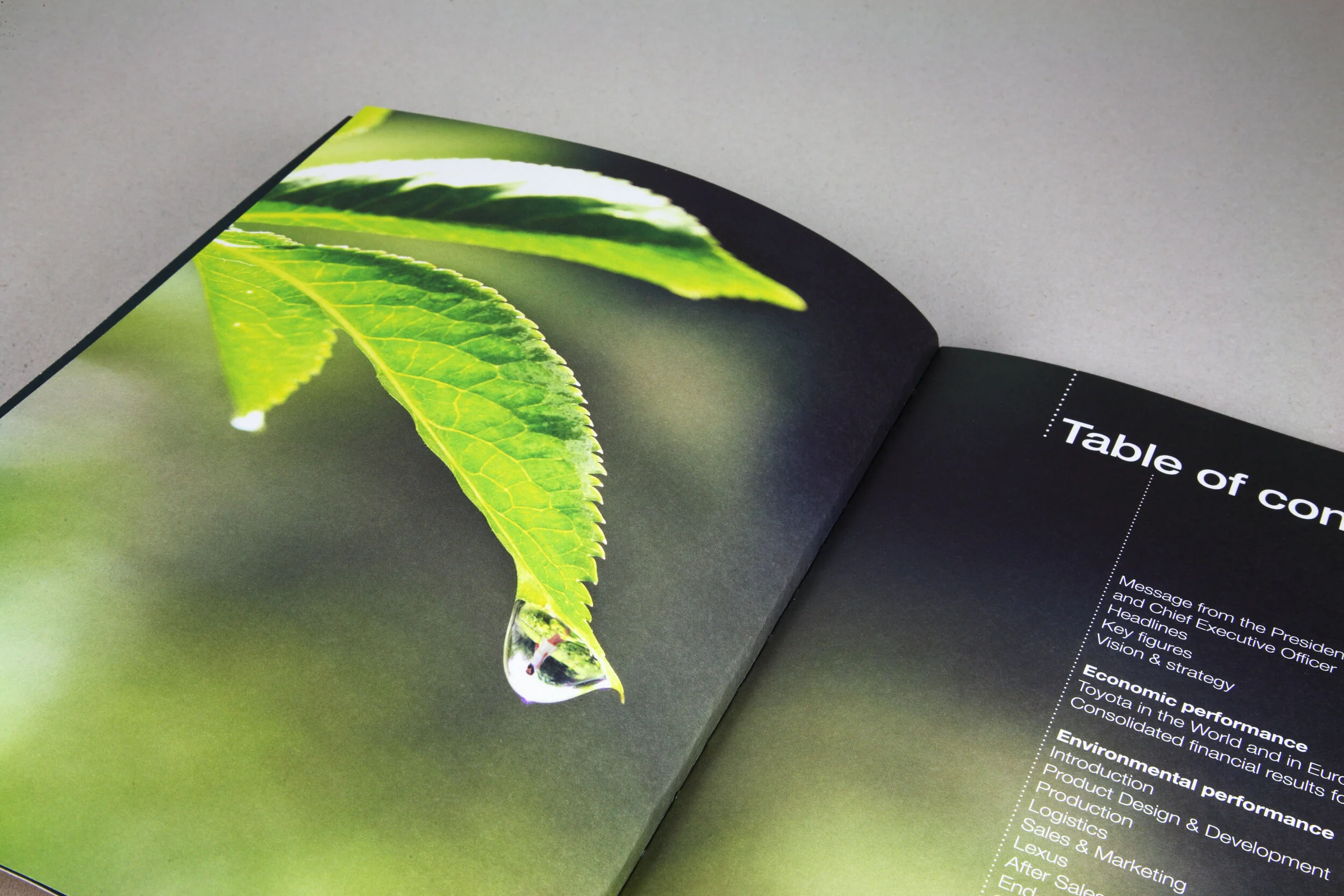 Toyota-2008-Sustainability-Creative-Direction-3.jpg