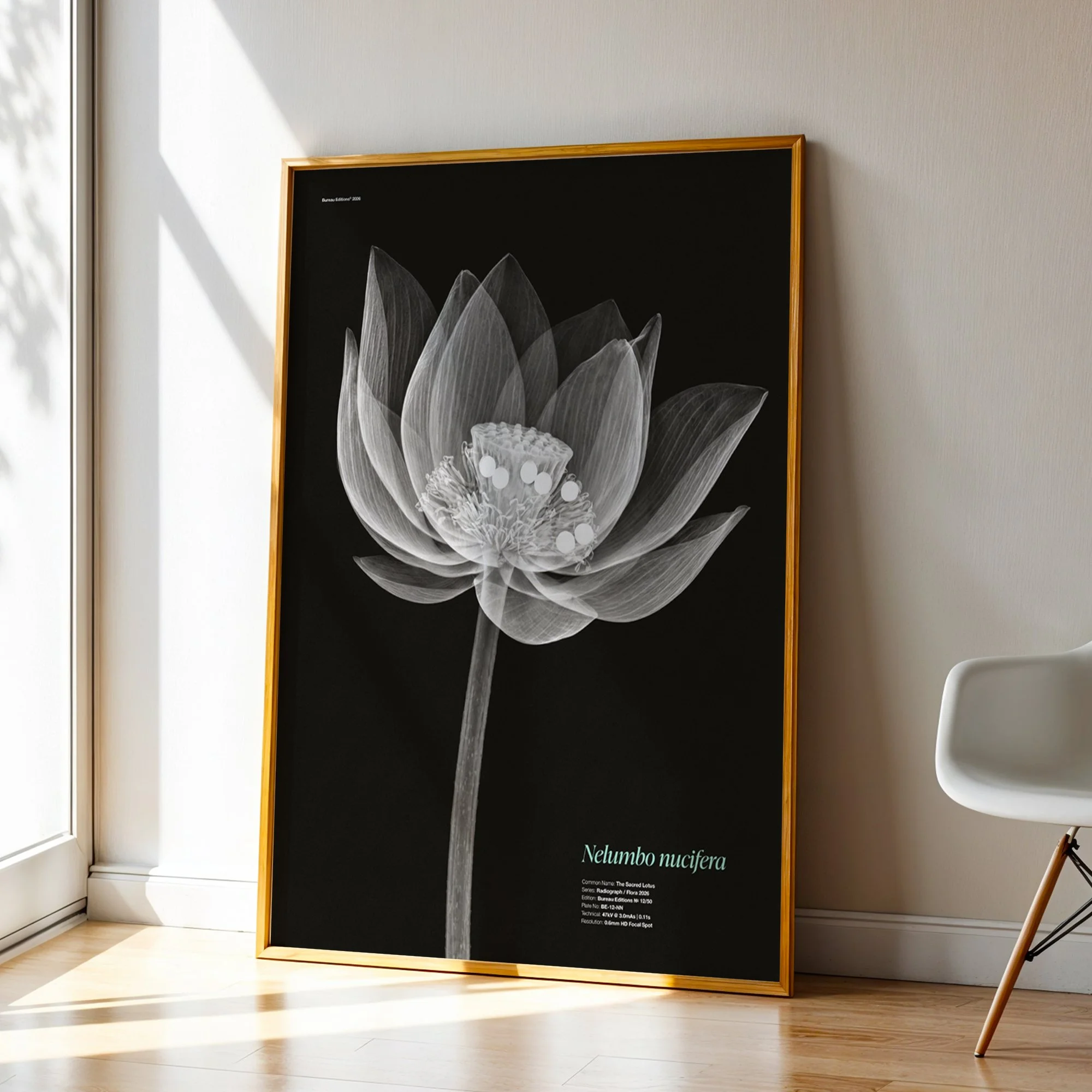 BioDigital_The Lotus_Frame 43.jpg