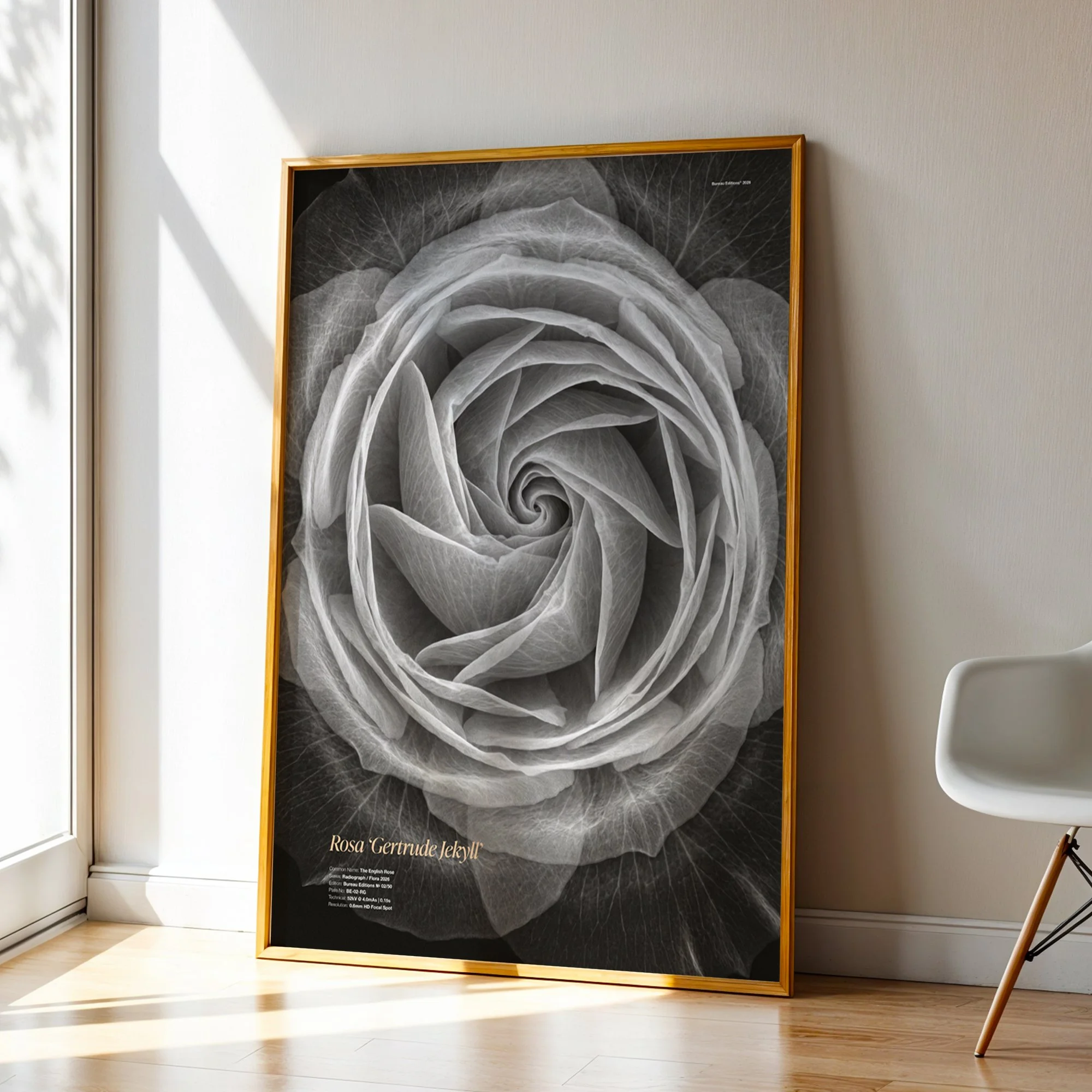 BioDigital_The English Rose_Frame 43.jpg