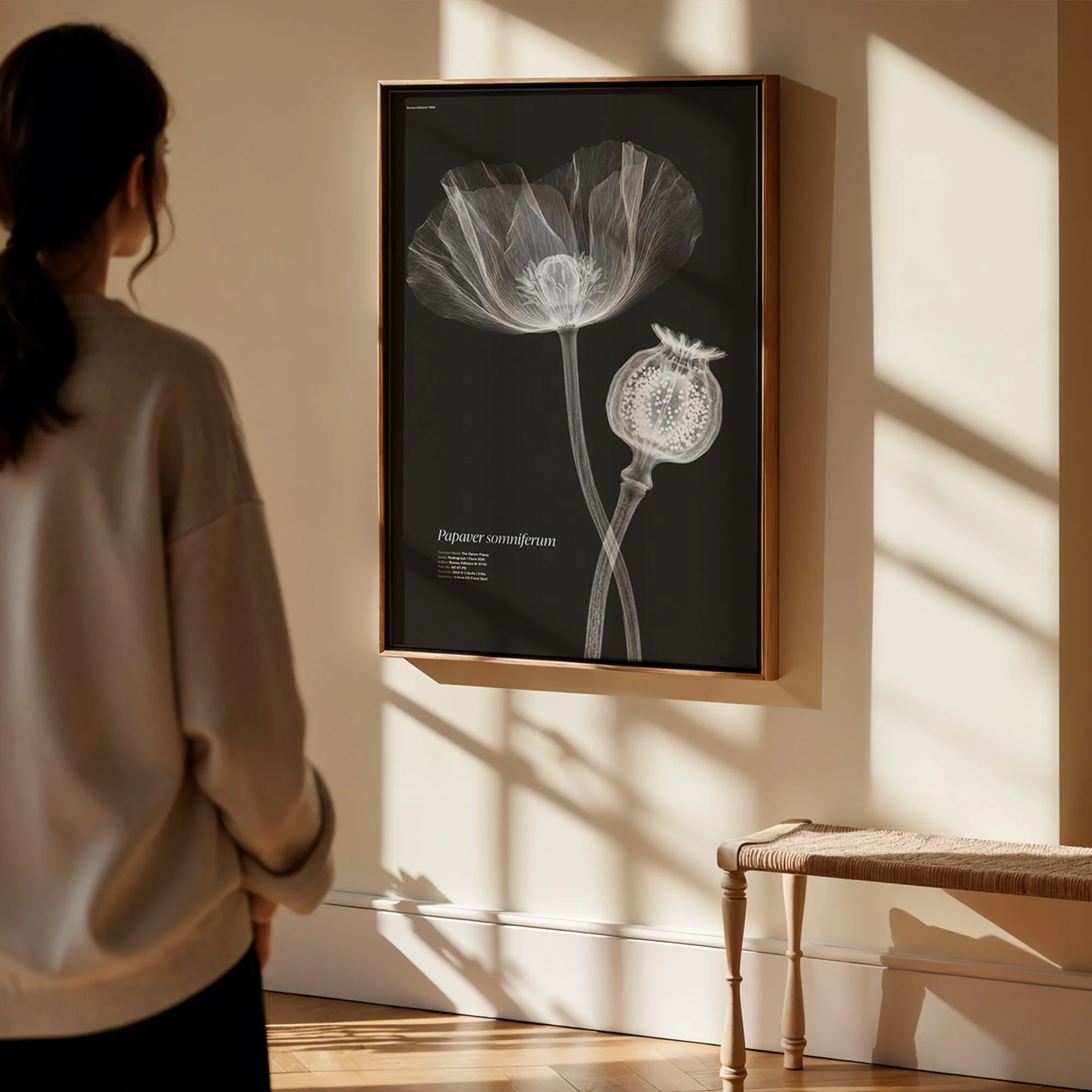 BioDigital_The Opium Poppy_Frame Mockup 419.jpg