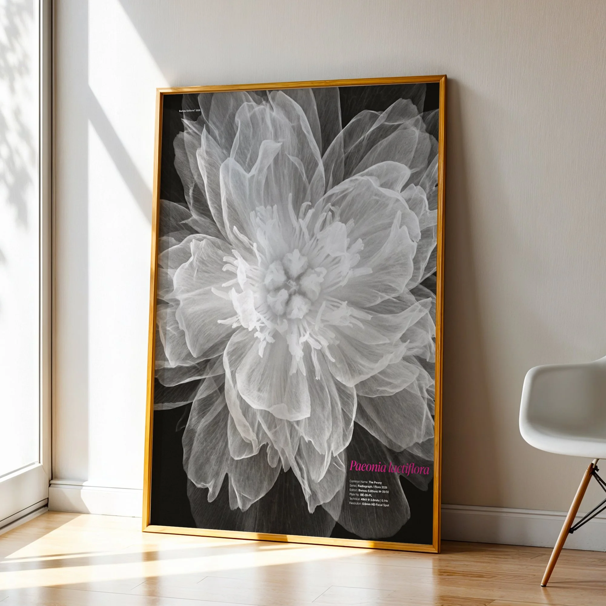 BioDigital_The Peony_Frame 43.jpg