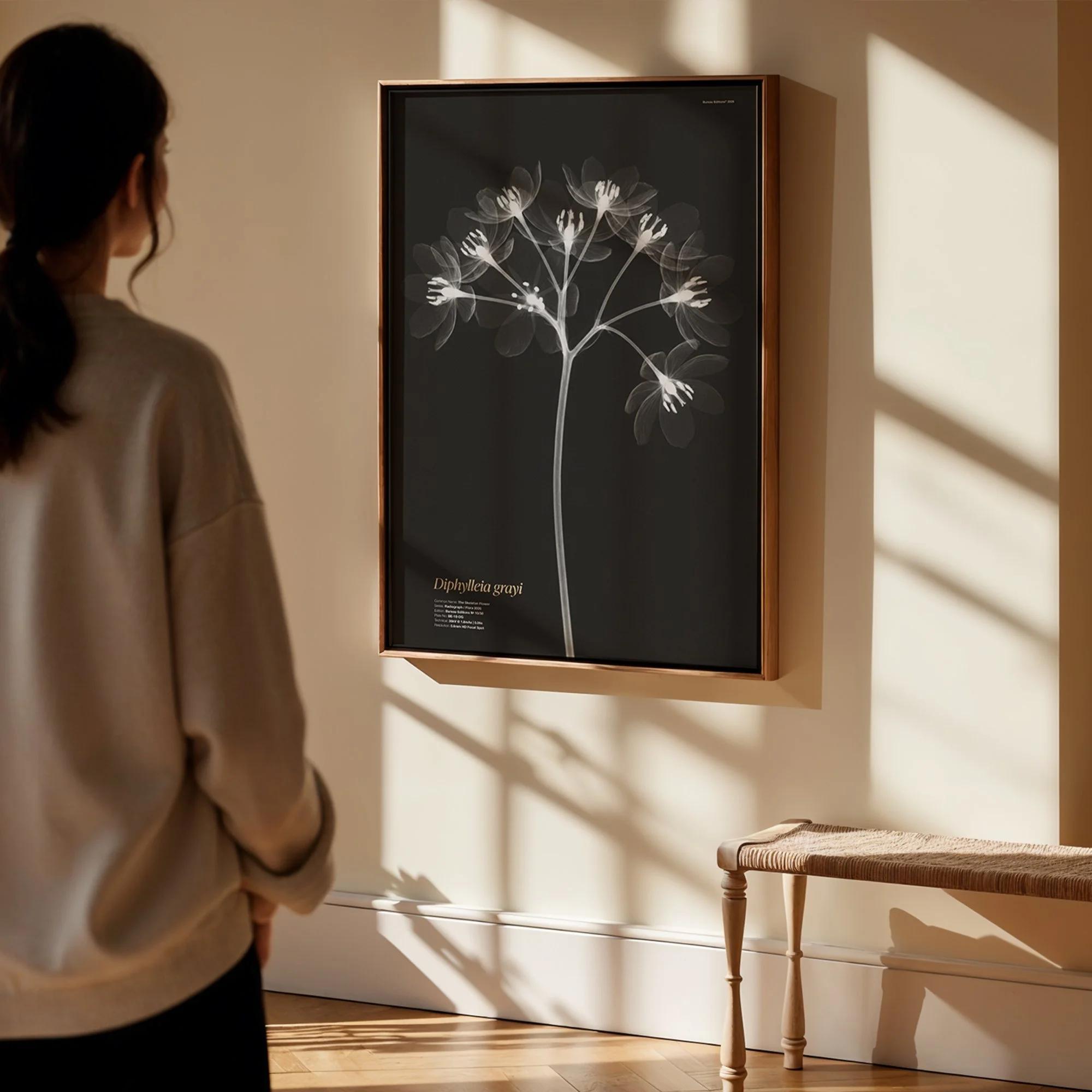 BioDigital_The Skeleton Flower_Frame Mockup 419.jpg