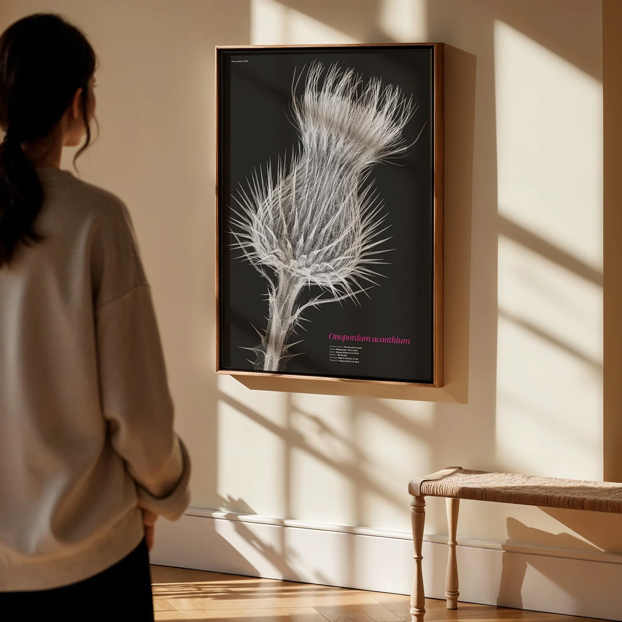 BioDigital_The Scottish Thistle_Frame Mockup 419.jpg