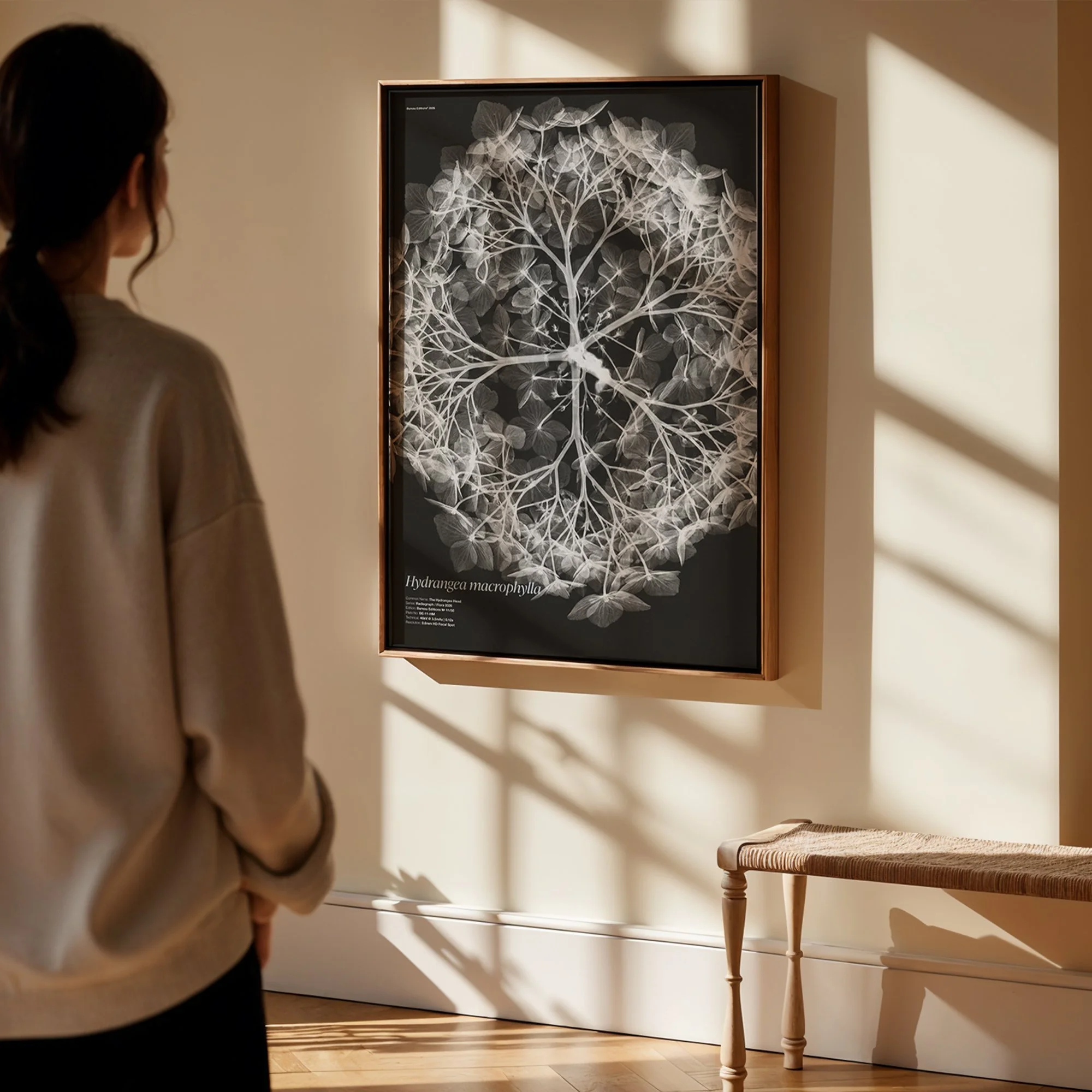 BioDigital_The Hydrangea Head_Frame Mockup 419.jpg