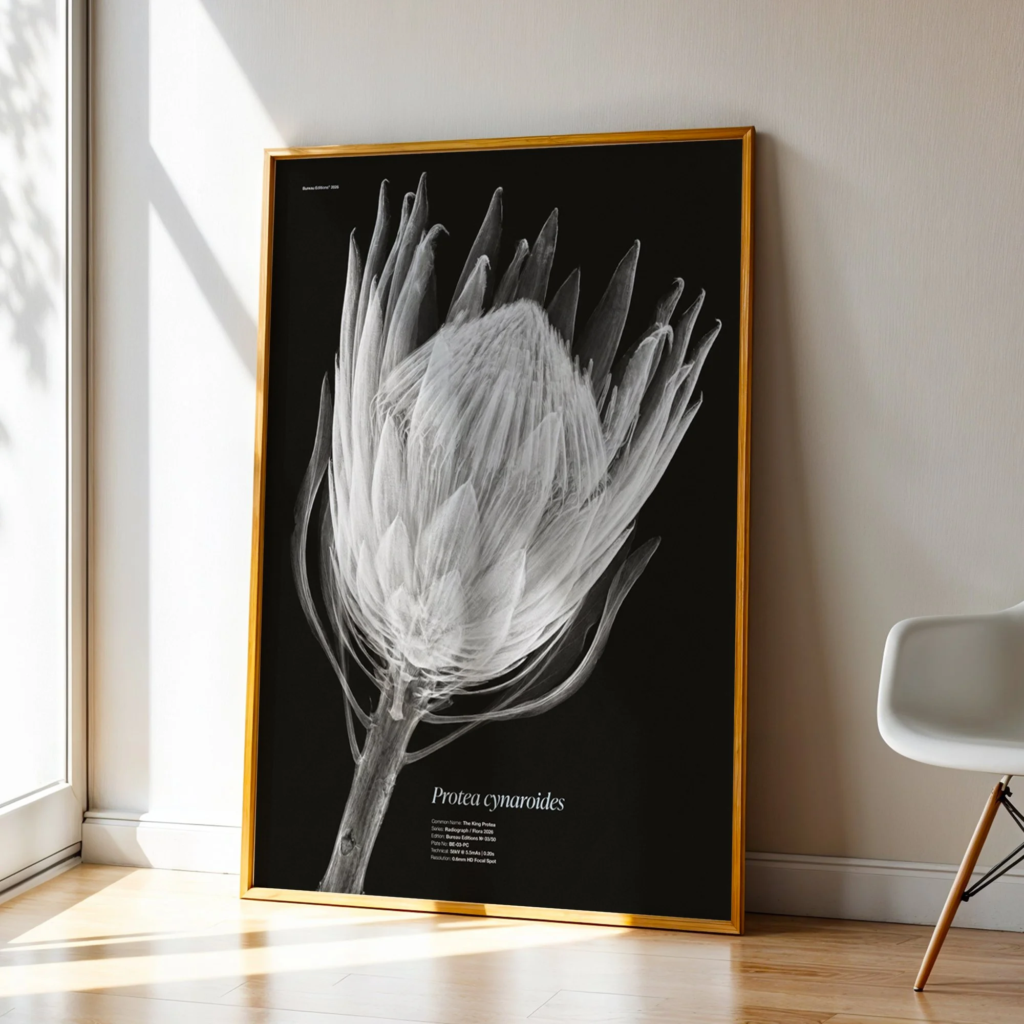 BioDigital_The King Protea_Frame 43.jpg