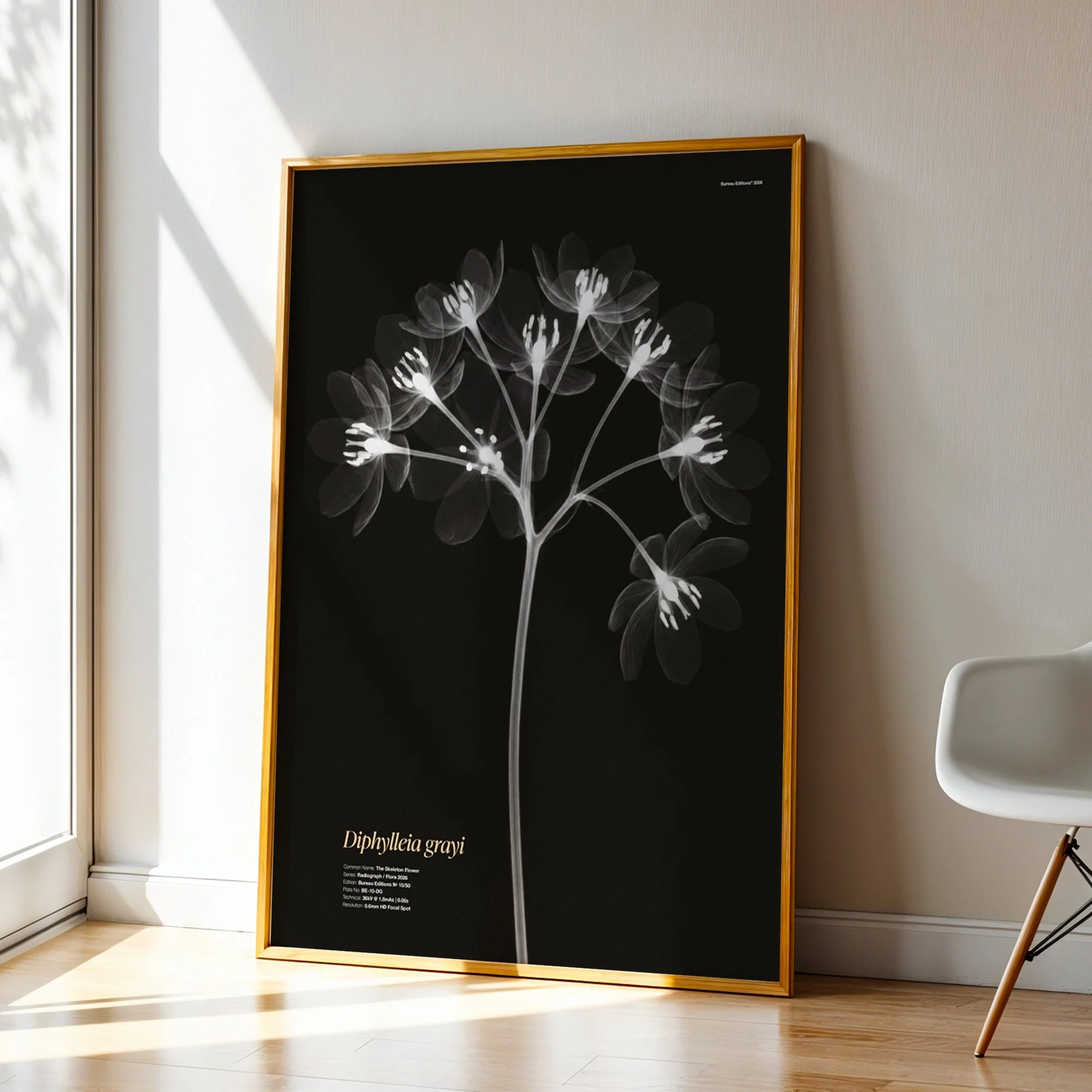 BioDigital_The Skeleton Flower_Frame 43.jpg