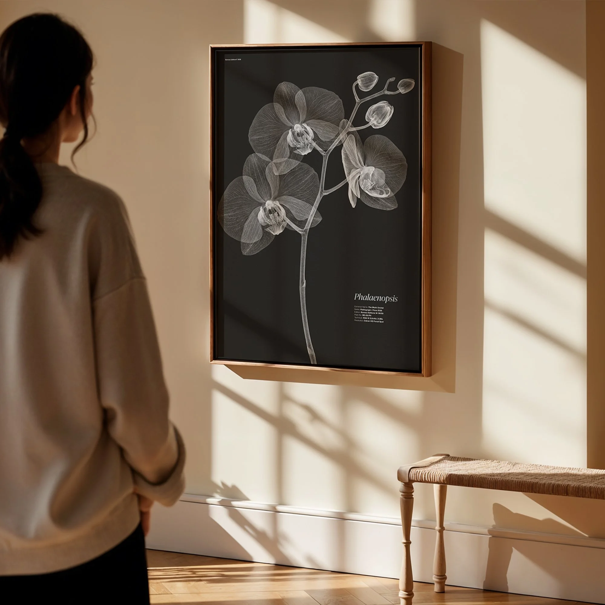 BioDigital_The Moth Orchid_Frame Mockup 419.jpg