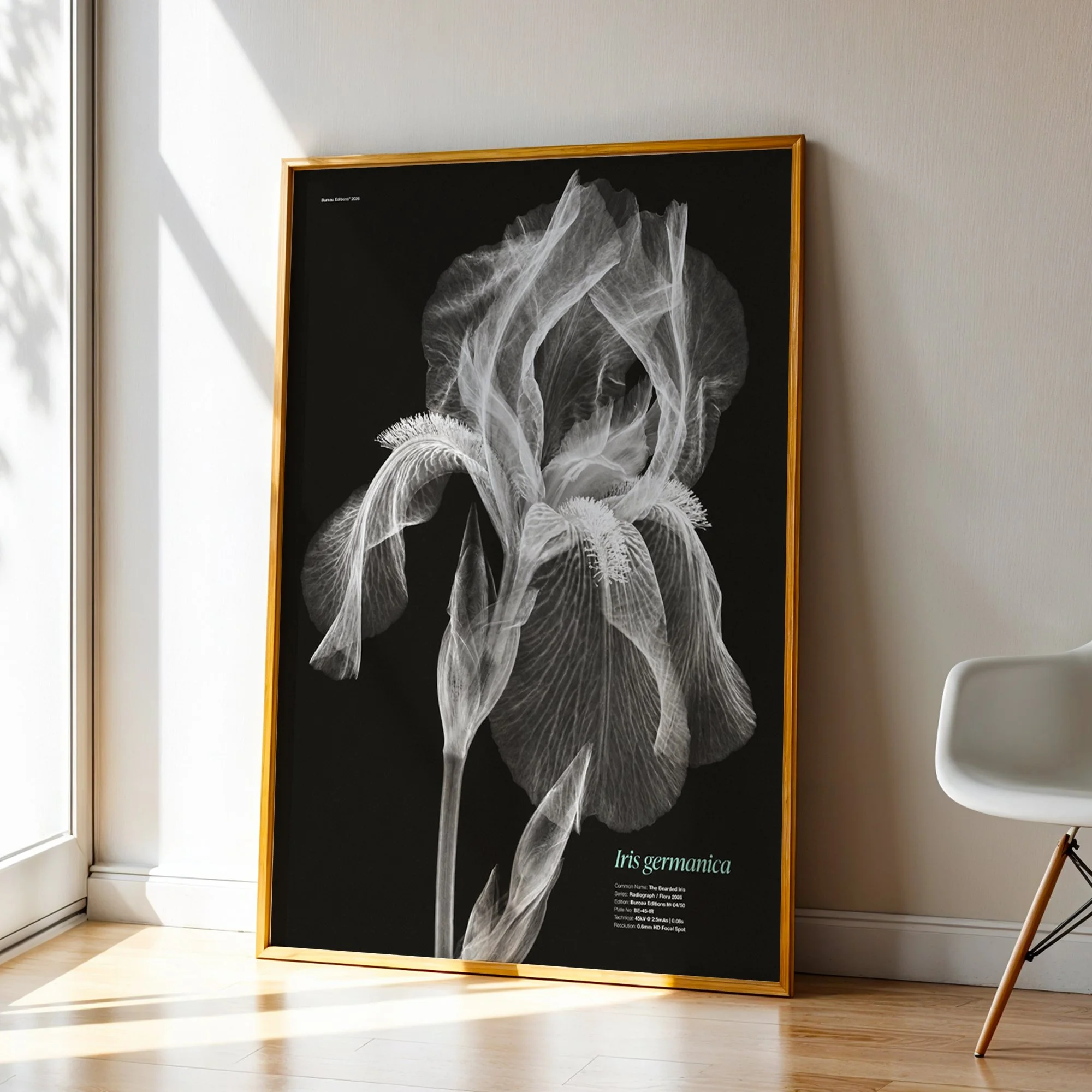 BioDigital_The Bearded Iris__Frame 43.jpg