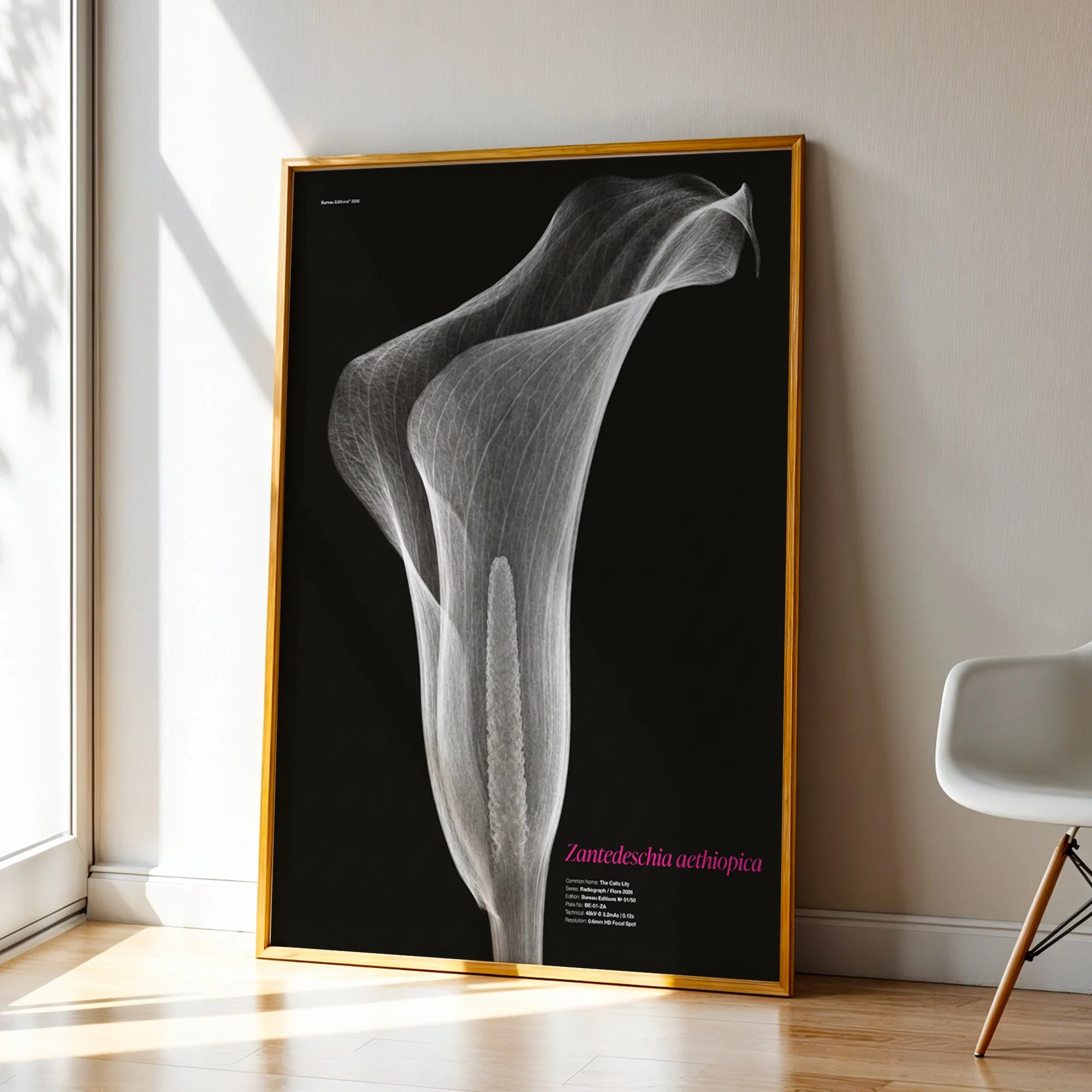 BioDigital_The Calla Lily__Frame 43.jpg