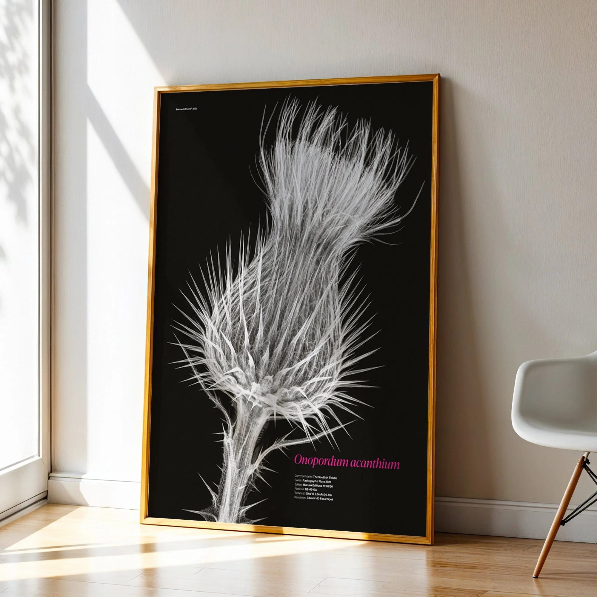 BioDigital_The Scottish Thistle_Frame 43.jpg