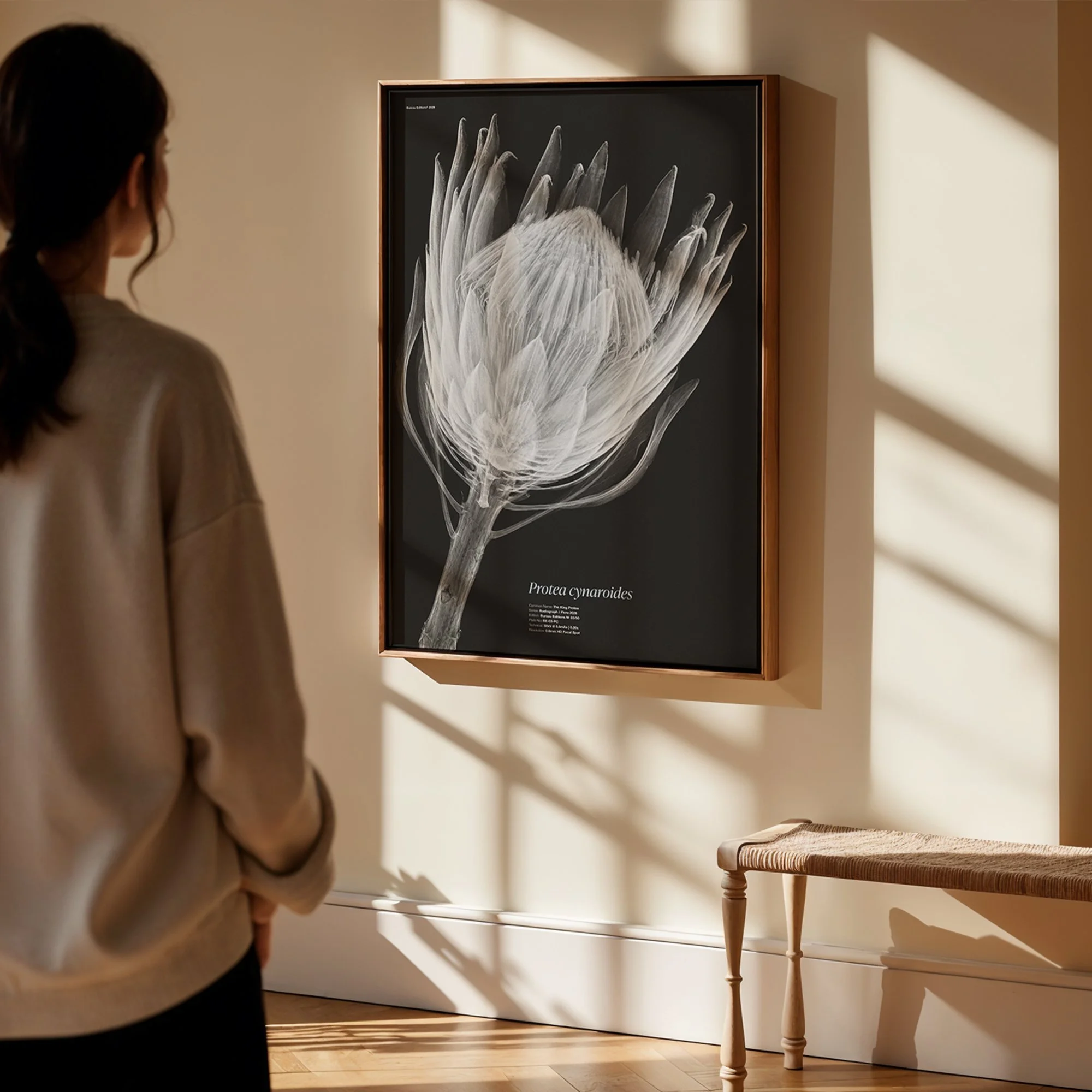 BioDigital_The King Protea_Frame Mockup 419.jpg