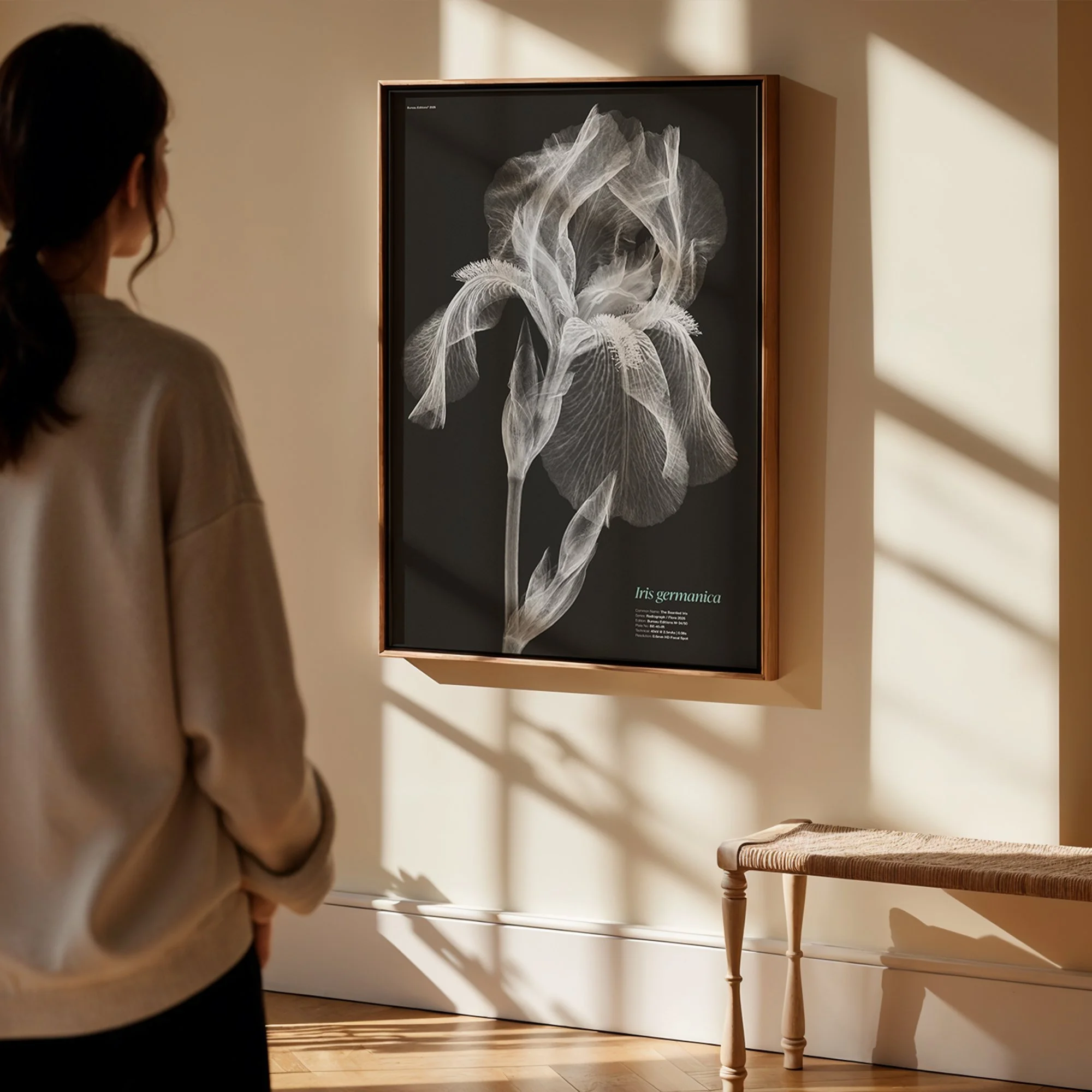 BioDigital_The Bearded Iris_Frame Mockup 419.jpg