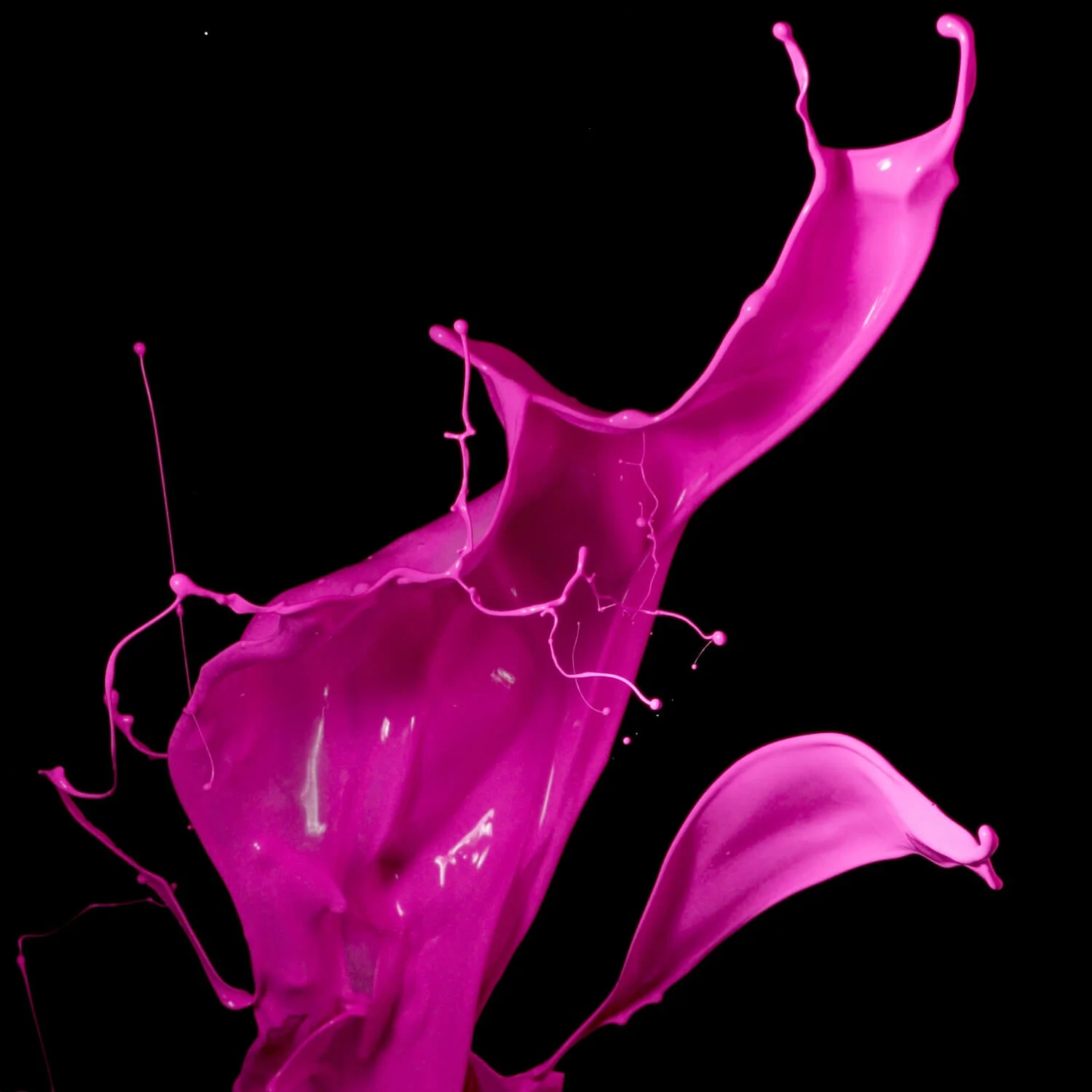 Celine Schillinger Engagement Leadership Why.jpg