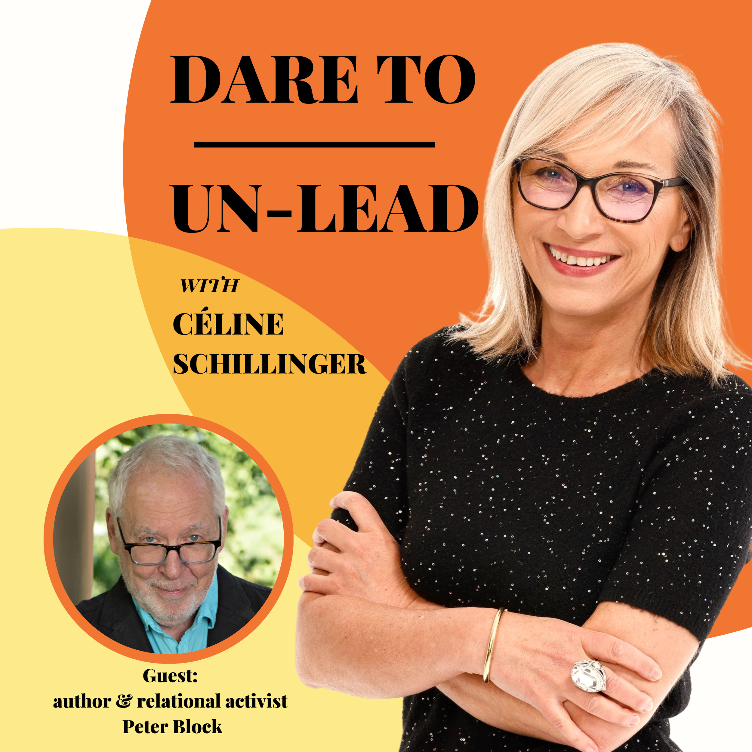 Celine Schillinger interviews Peter Block of Designed Learning on Flawless Consulting and Community