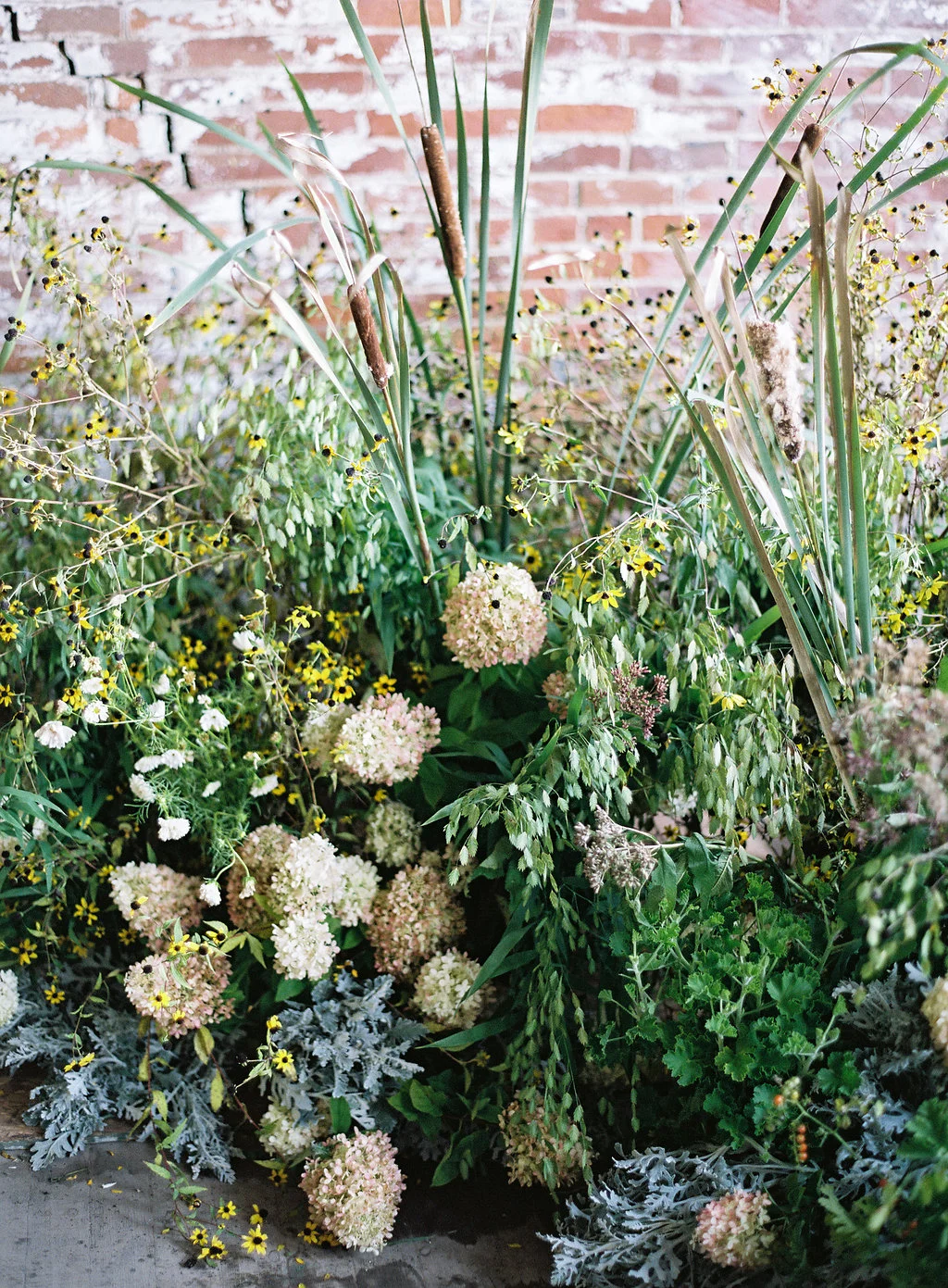 dss-jenna-powers-photography-138.jpg