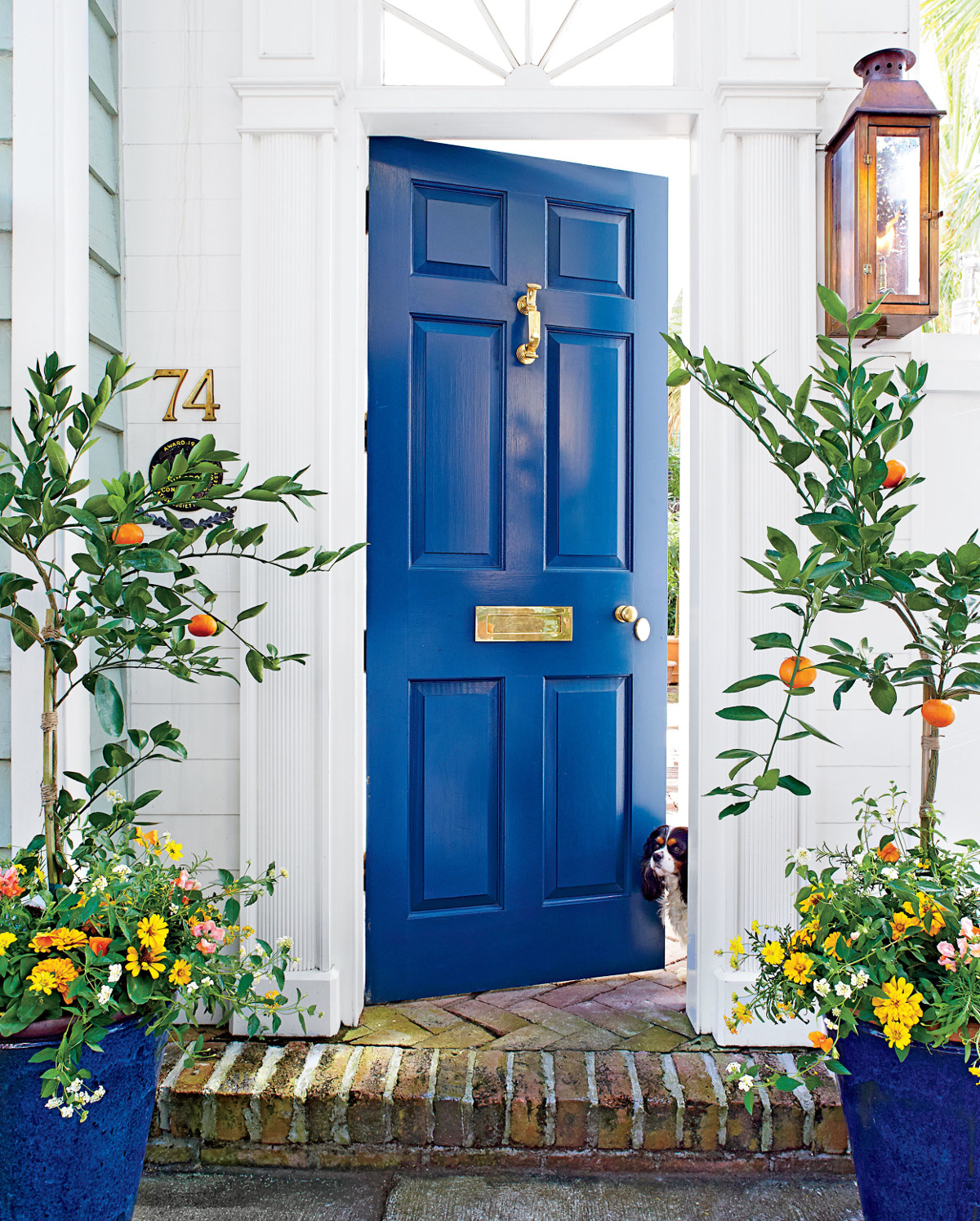 clr-frontdoorblue1.jpeg