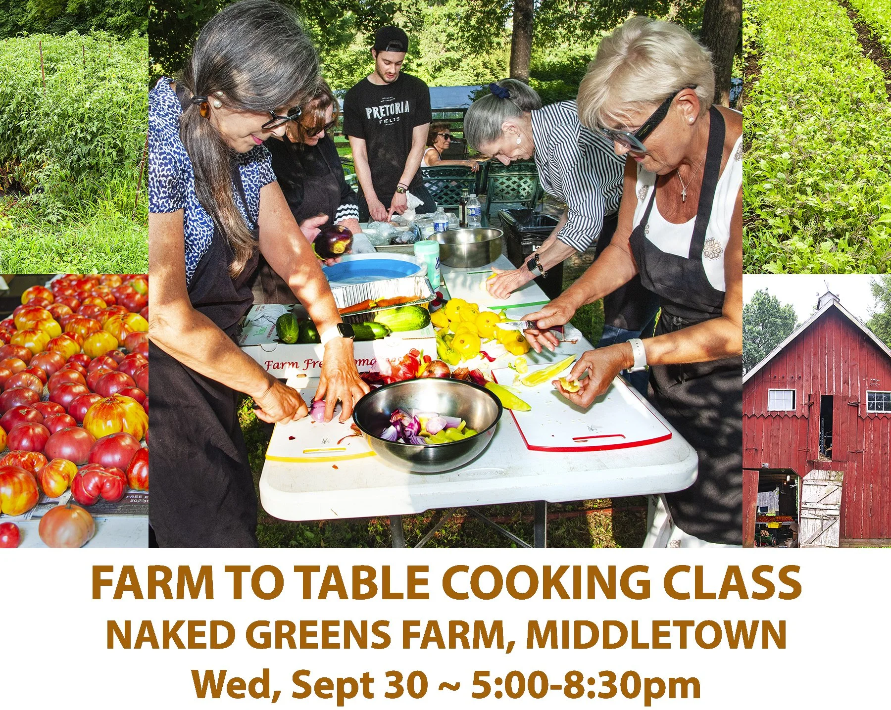 BrasserieProvenceFarmToTableCookingWebpage.jpg