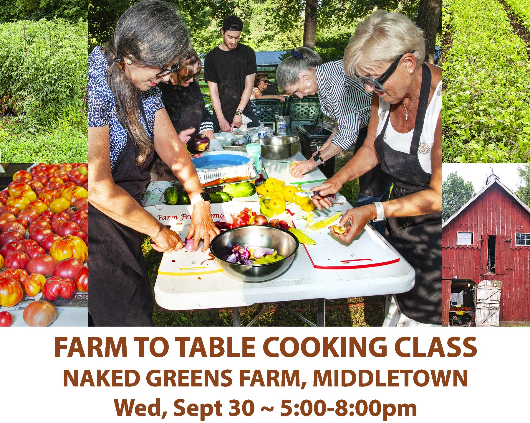 BrasserieProvenceFarmToTableCookingWebpage.jpg