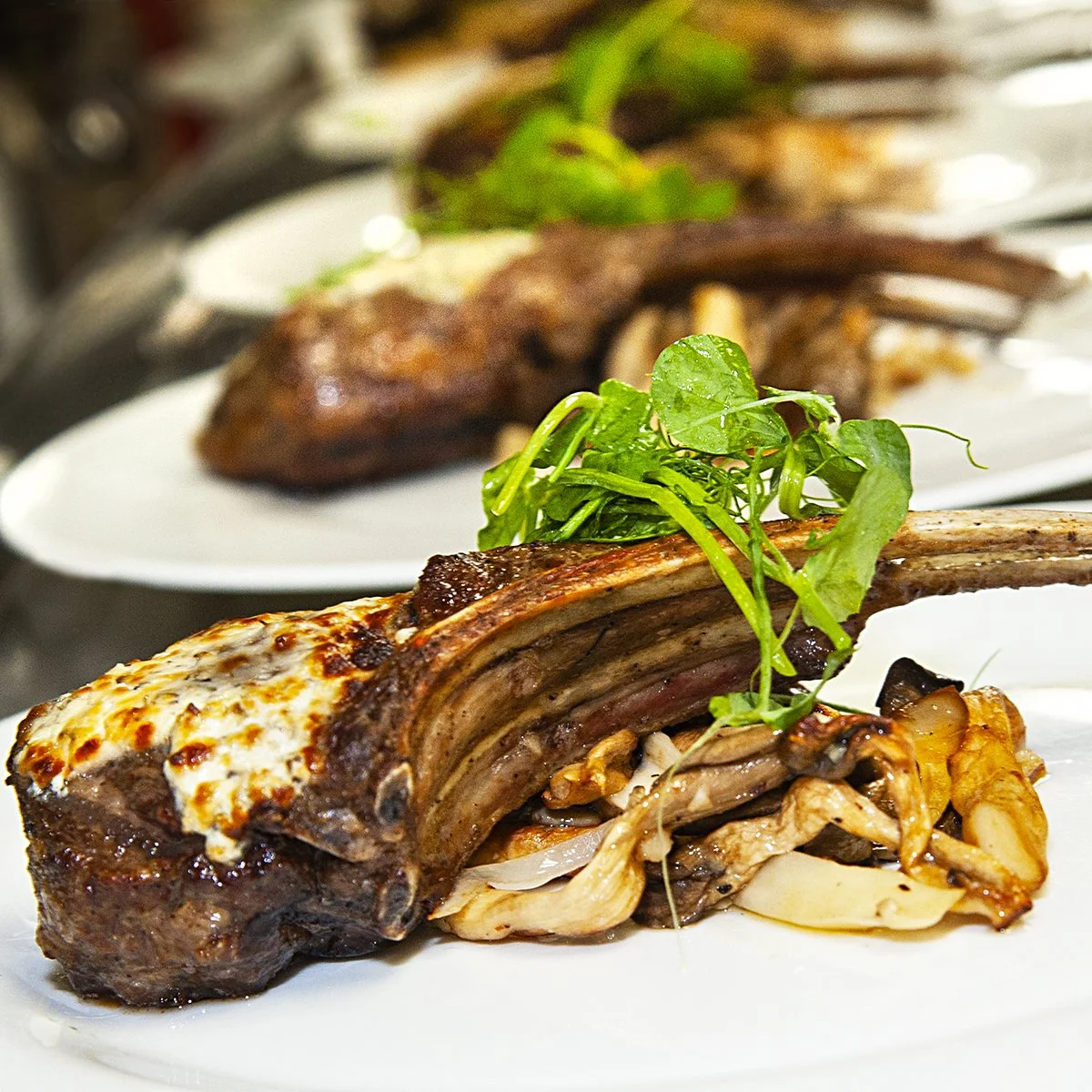 BrasserieProvence2022GerardBertrandWineDinner9.jpg