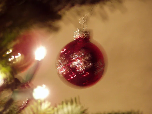 12-5-12 susanne.jpg