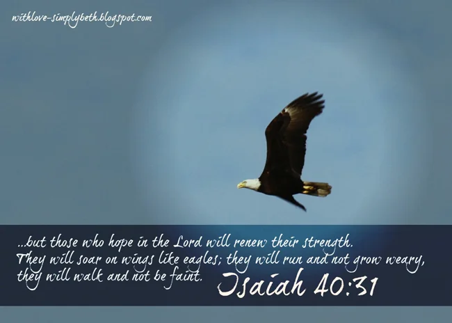 BStiff November Pic Eagle.jpg