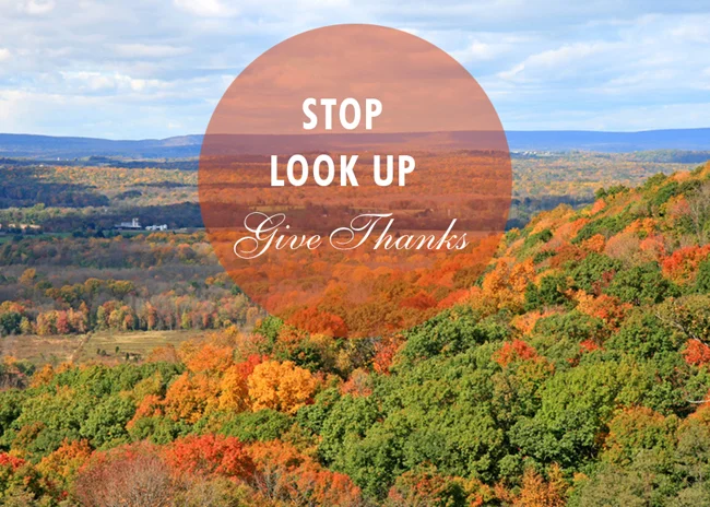 11-13 Stop Look Up Give Thanks.jpg